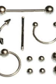 11 Parça Piercing (cerrahi Çelik) Ve Piercing Topu Seti Piirsing ( Lisinya )