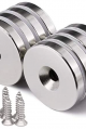 25x10-5.5x5 Mm Neodyum Mıknatıs 10 Adet, Yuvarlak,n35 Nikel Kaplamalı Kaliteli Ve Dayanıklı Ürün ( Lisinya )