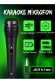 Karaoke Mikrofon Kablolu Mikrofon 6.5 Mm Karaoke Mikrofonu ( Lisinya )