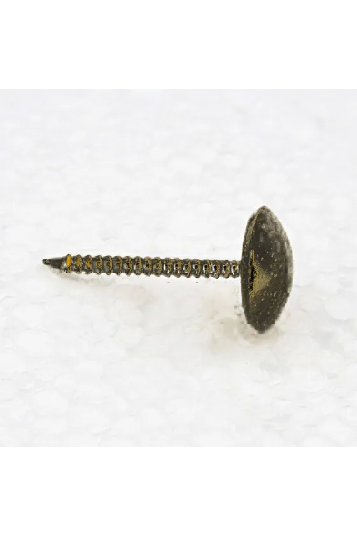 Antik Saraciye, Deri Tırtıklı Kabara 9,5 Mm - 1000 - Lisinya Antik Saraciye, Deri Tırtıklı Kabara 9,5 Mm - 1000 - Lisinya