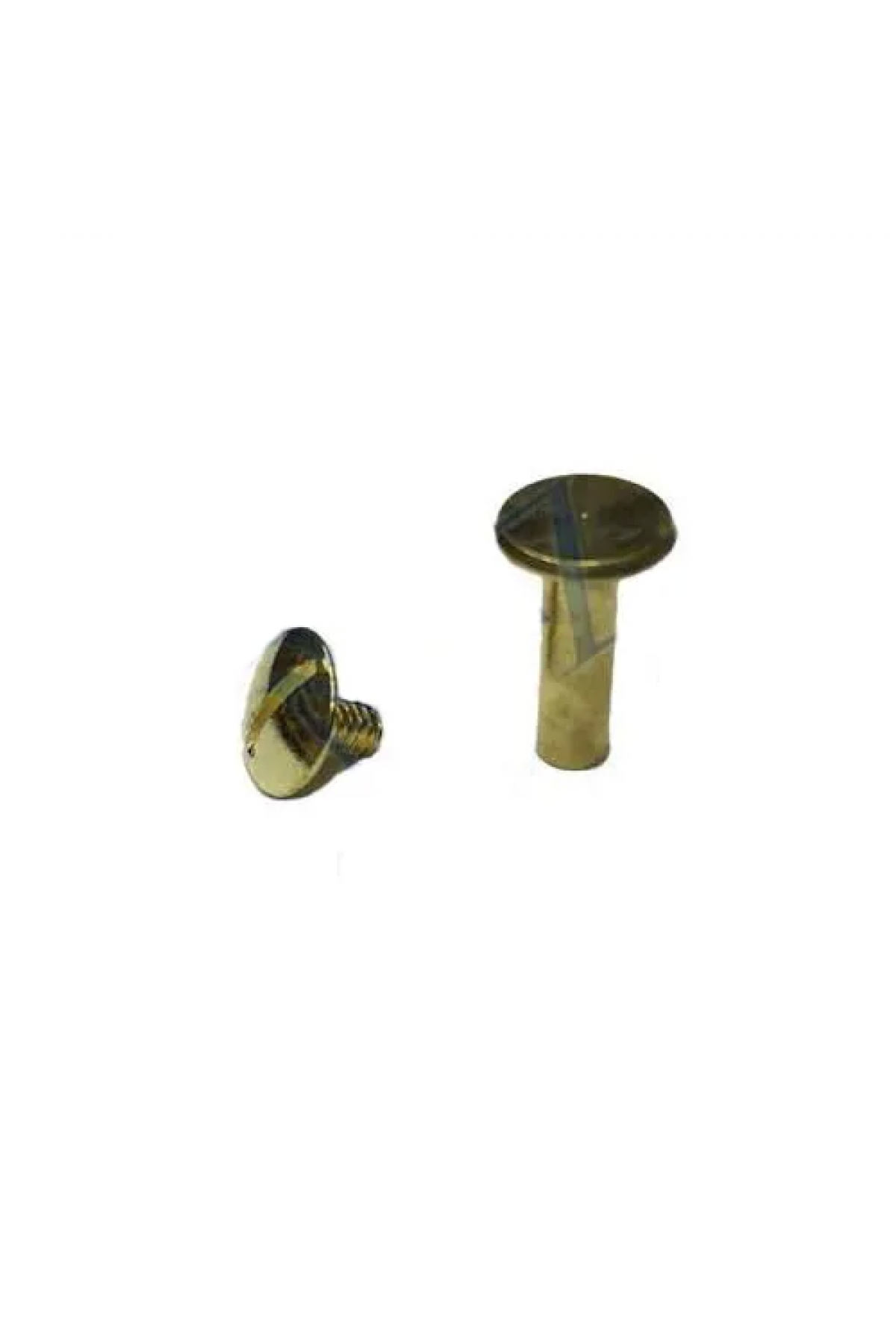 Cilt Menü, Katalog, Kartela Vidası, 13mm - Sarı, 1 Adet - Lisinya Cilt Menü, Katalog, Kartela Vidası, 13mm - Sarı, 1 Adet - Lisinya