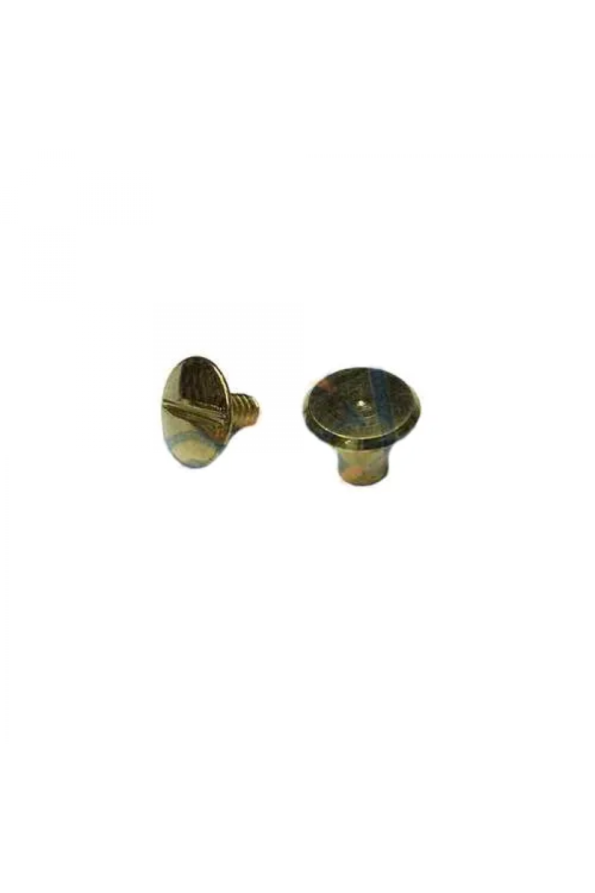 Cilt Menü, Katalog, Kartela Vidası, 6 Mm - Sarı, 1 Adet - Lisinya Cilt Menü, Katalog, Kartela Vidası, 6 Mm - Sarı, 1 Adet - Lisinya