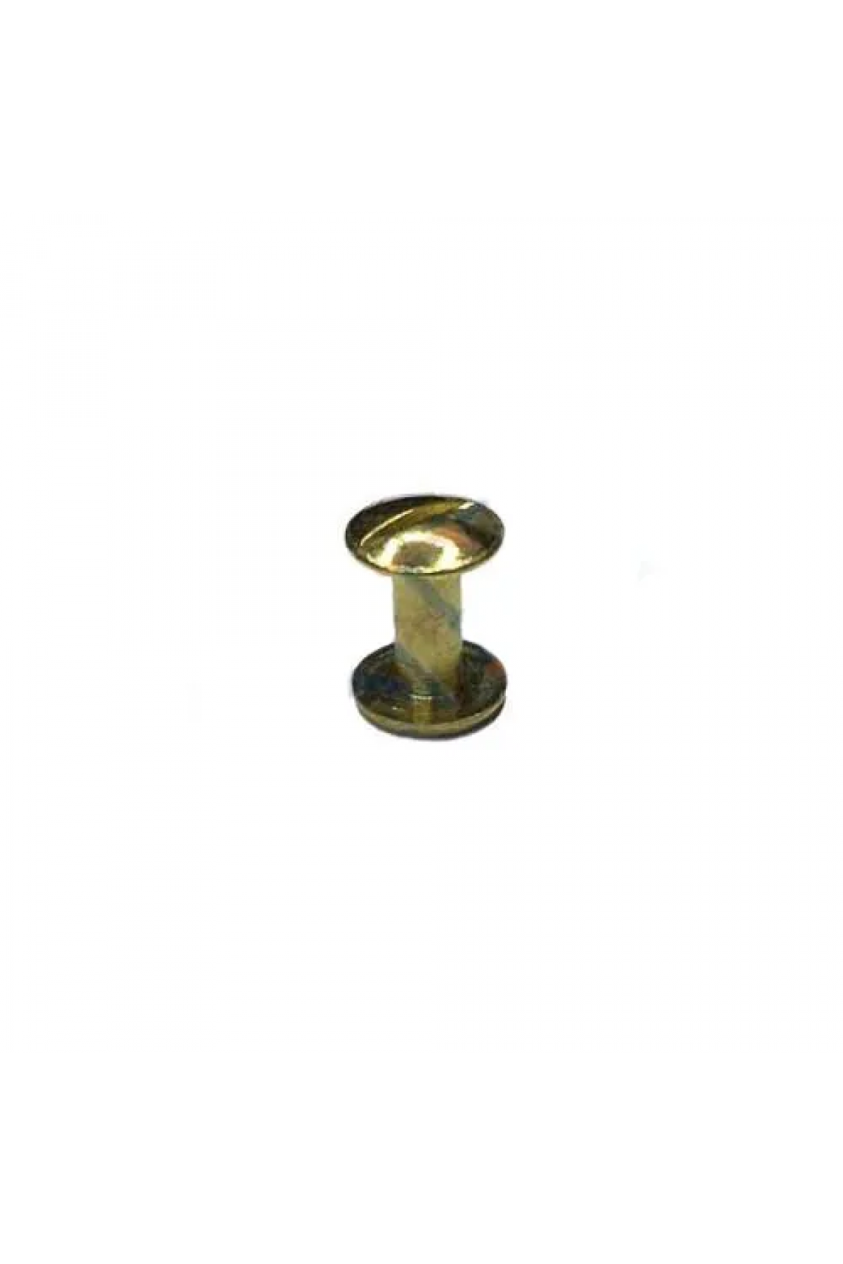 Cilt Menü, Katalog, Kartela Vidası, 9 Mm - Sarı, 1 Adet - Lisinya Cilt Menü, Katalog, Kartela Vidası, 9 Mm - Sarı, 1 Adet - Lisinya