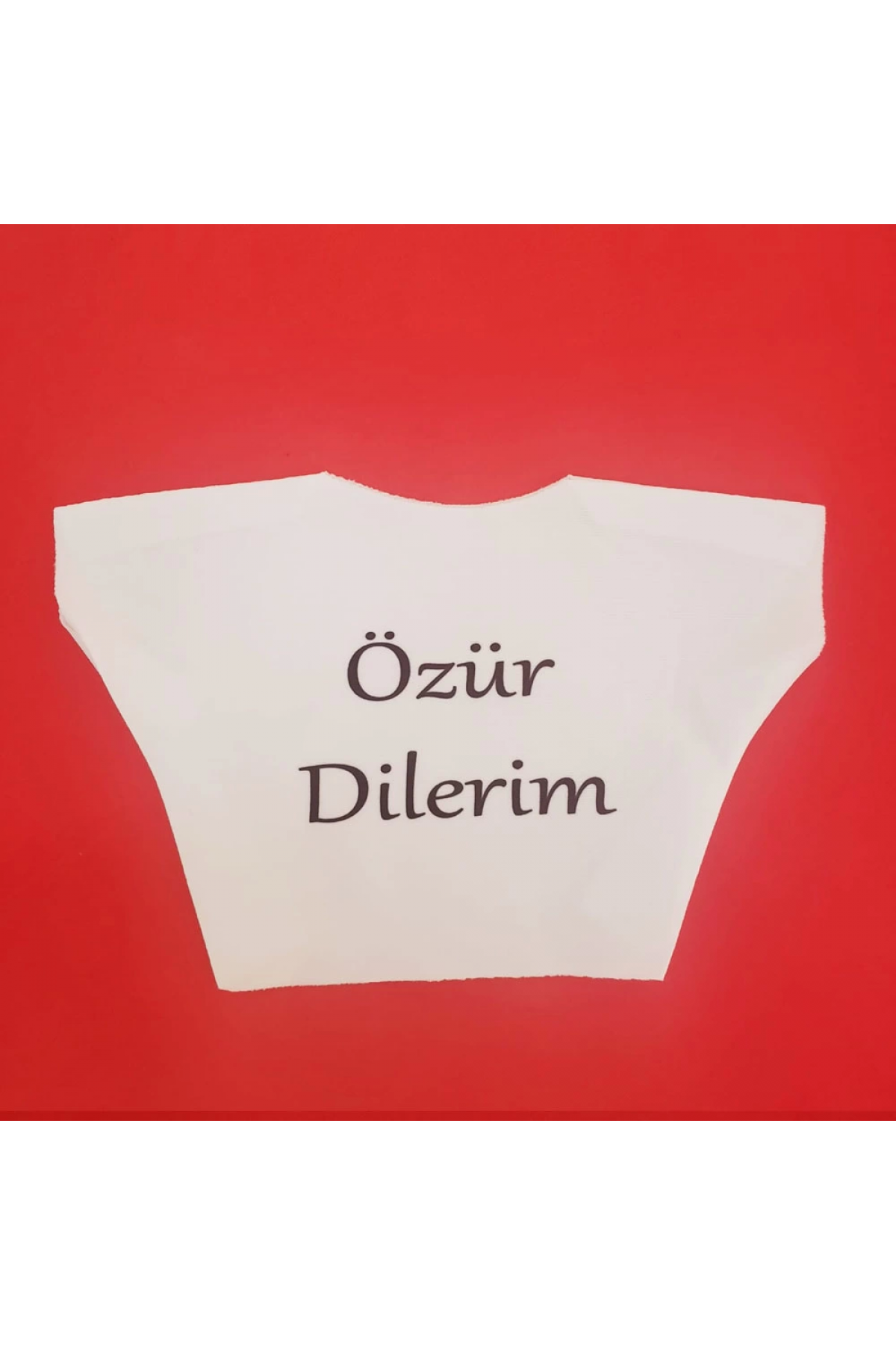 Özür Dilerim Yazılı Peluş Oyuncak Tişörtü - Lisinya