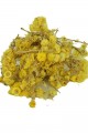 Lisinya214 Altın Otu Çiçeği Ölmez Çiçek Doğal 100 Gr Paket