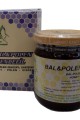 Lisinya214 Bal Polen Zencefil Karışımı 230 Gr