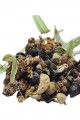 Lisinya214 Bitkisel Karışık Osmanlı Çayı Kış Çayı 100 Gr Paket