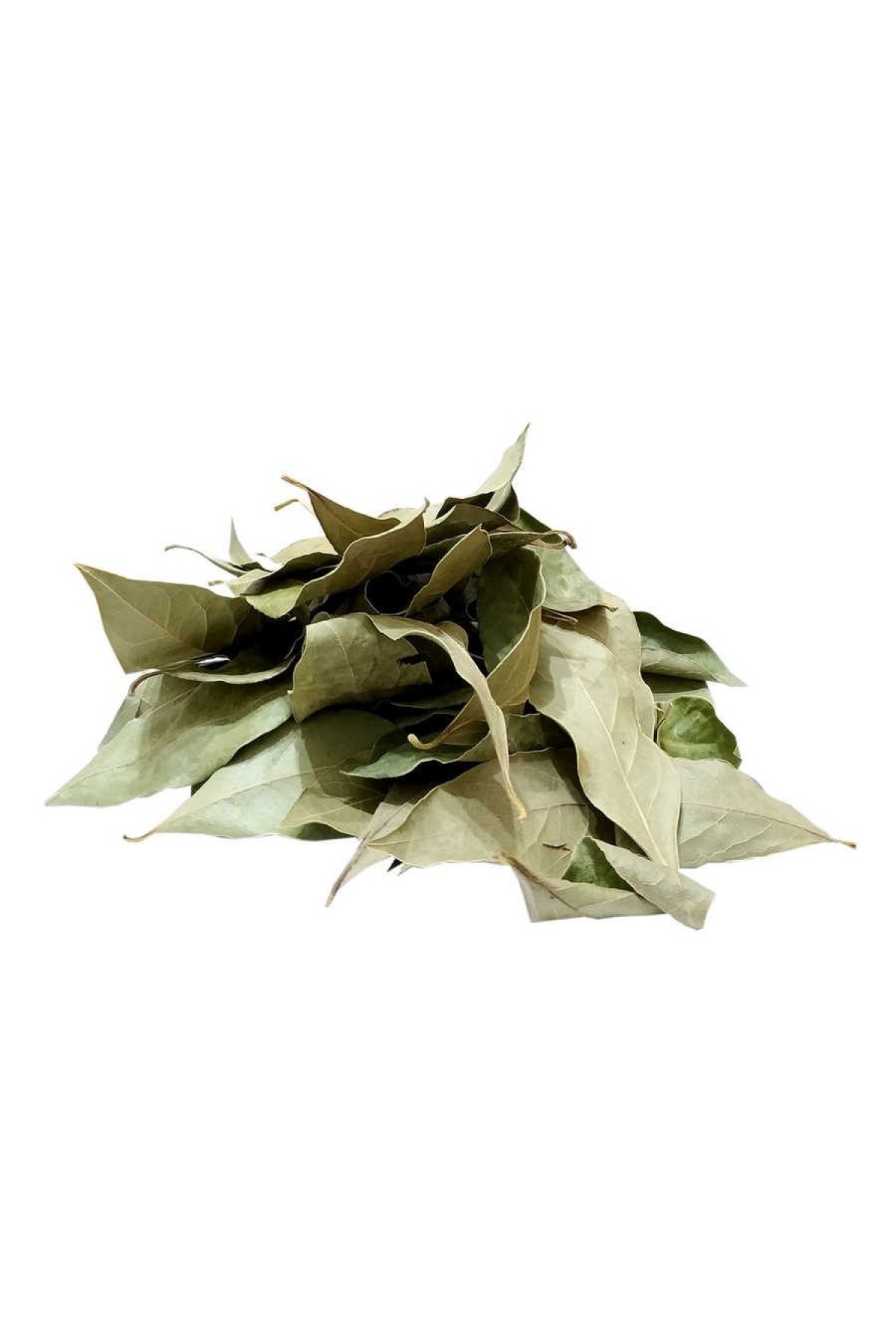 Lisinya214 Defne Yaprağı 80 Gr Paket