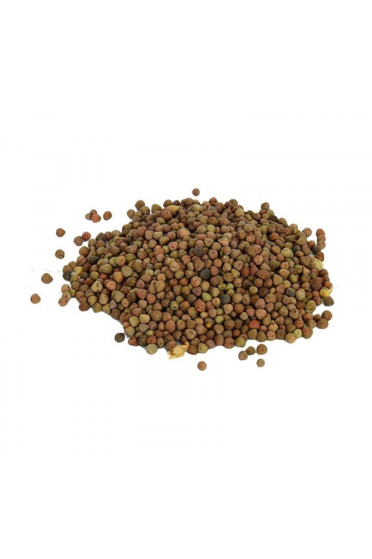 Lisinya214 Doğal Burçak Tohumu 100 Gr Paket