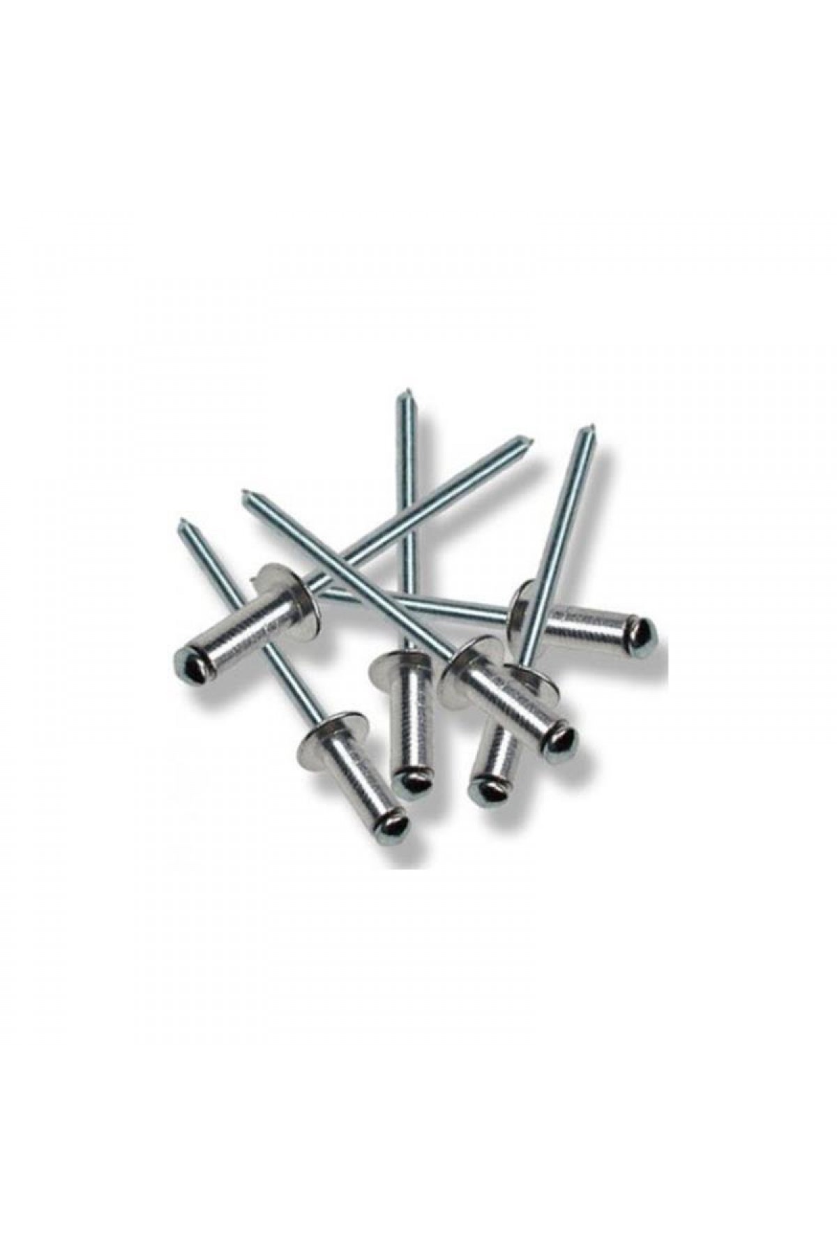 Lisinya202 Perçin Pop 4x10 mm (10 Adet)