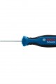 Lisinya202 Bosch 5,5X100 Düz Tornavida