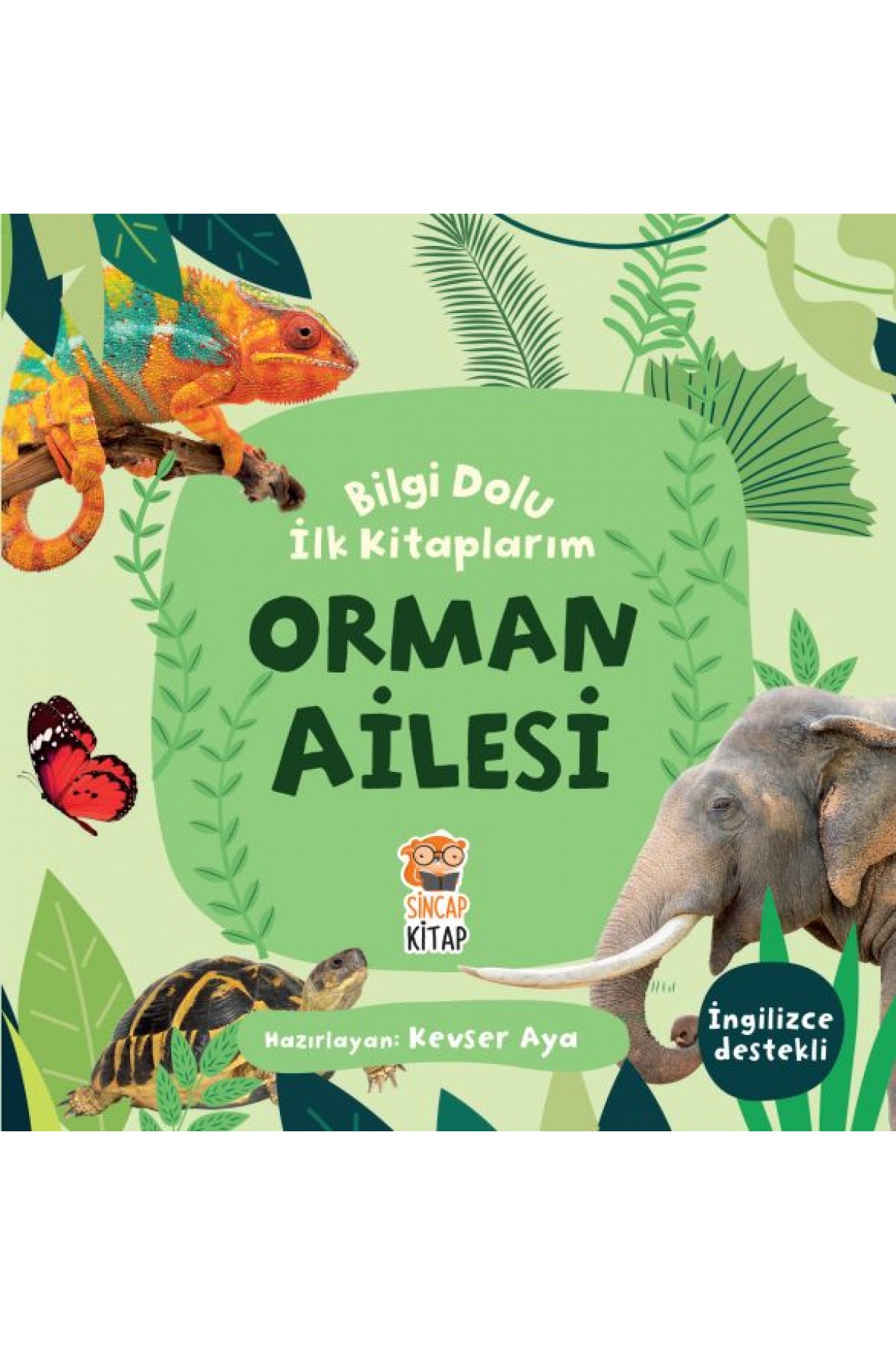 Orman Ailesi - Bilgi Dolu İlk Kitaplarım Orman Ailesi - Bilgi Dolu İlk Kitaplarım