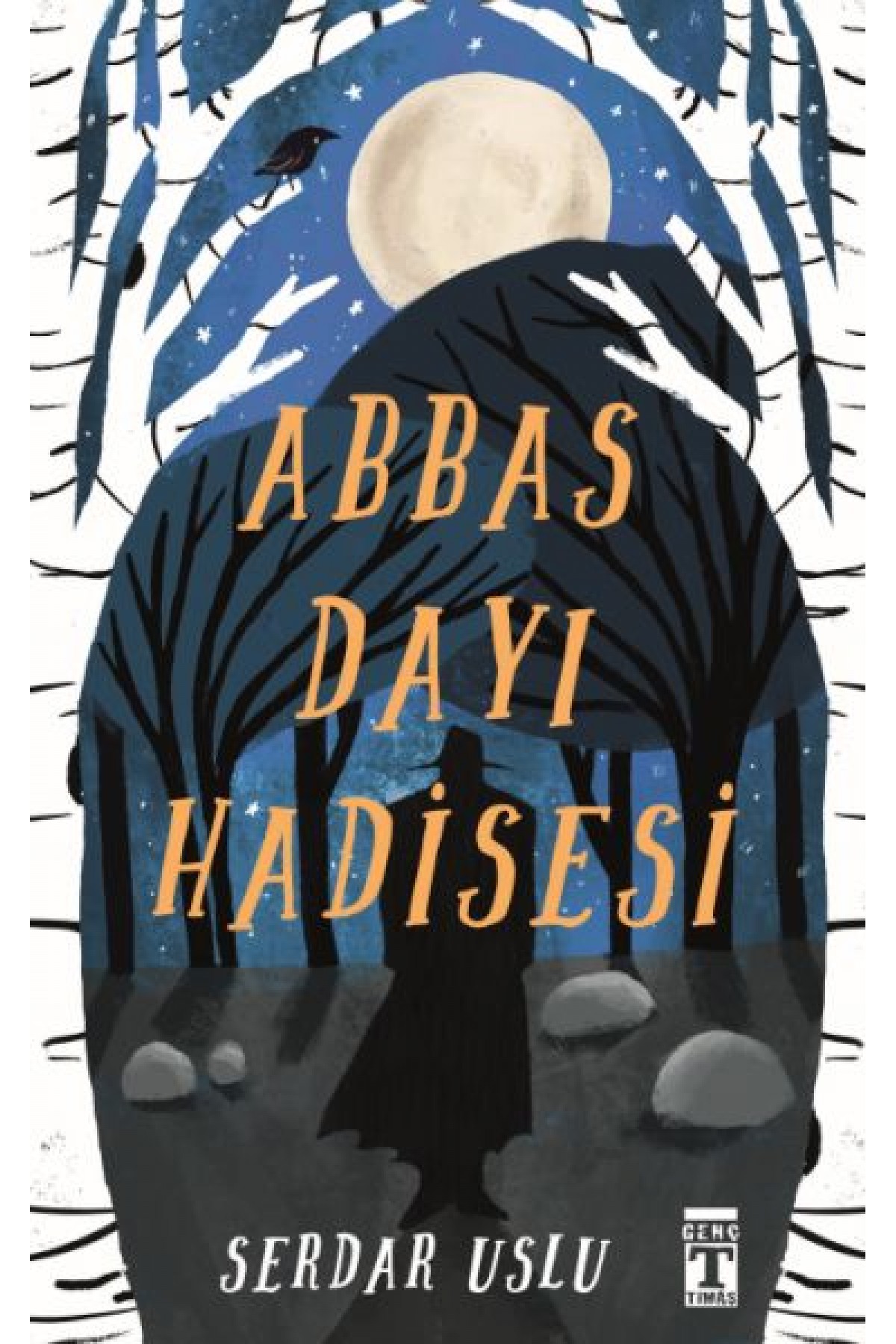 Abbas Dayı Hadisesi Abbas Dayı Hadisesi