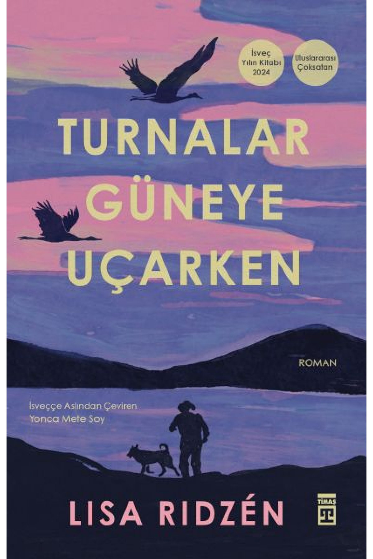 Turnalar Güneye Uçarken Turnalar Güneye Uçarken