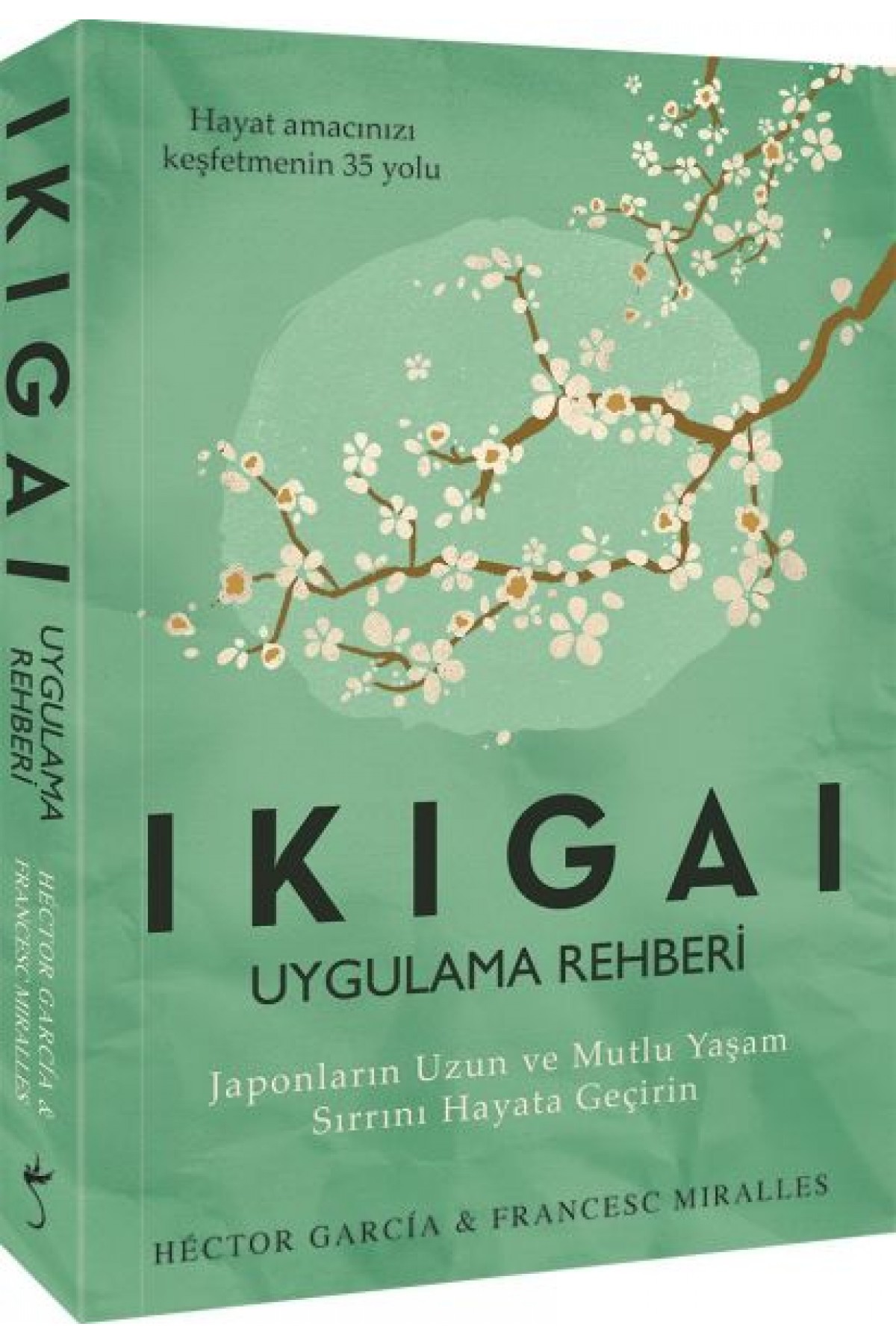 Ikigai Uygulama Rehberi