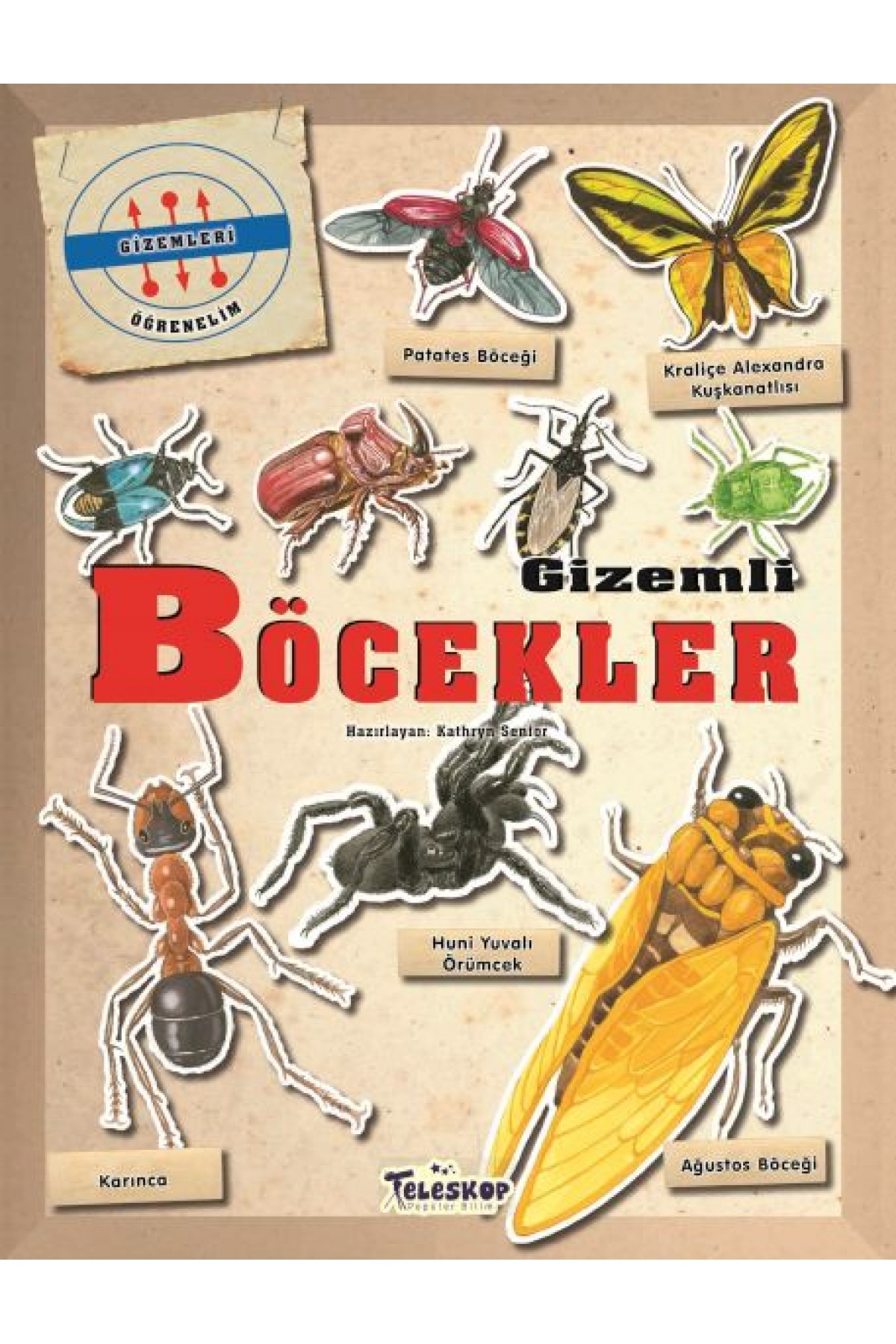 Gizemleri Öğrenelim - Gizemli Böcekler