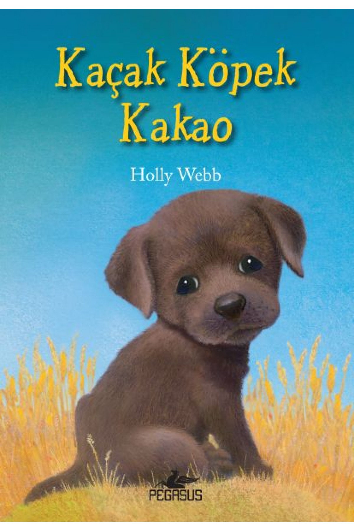 Kaçak Köpek Kakao