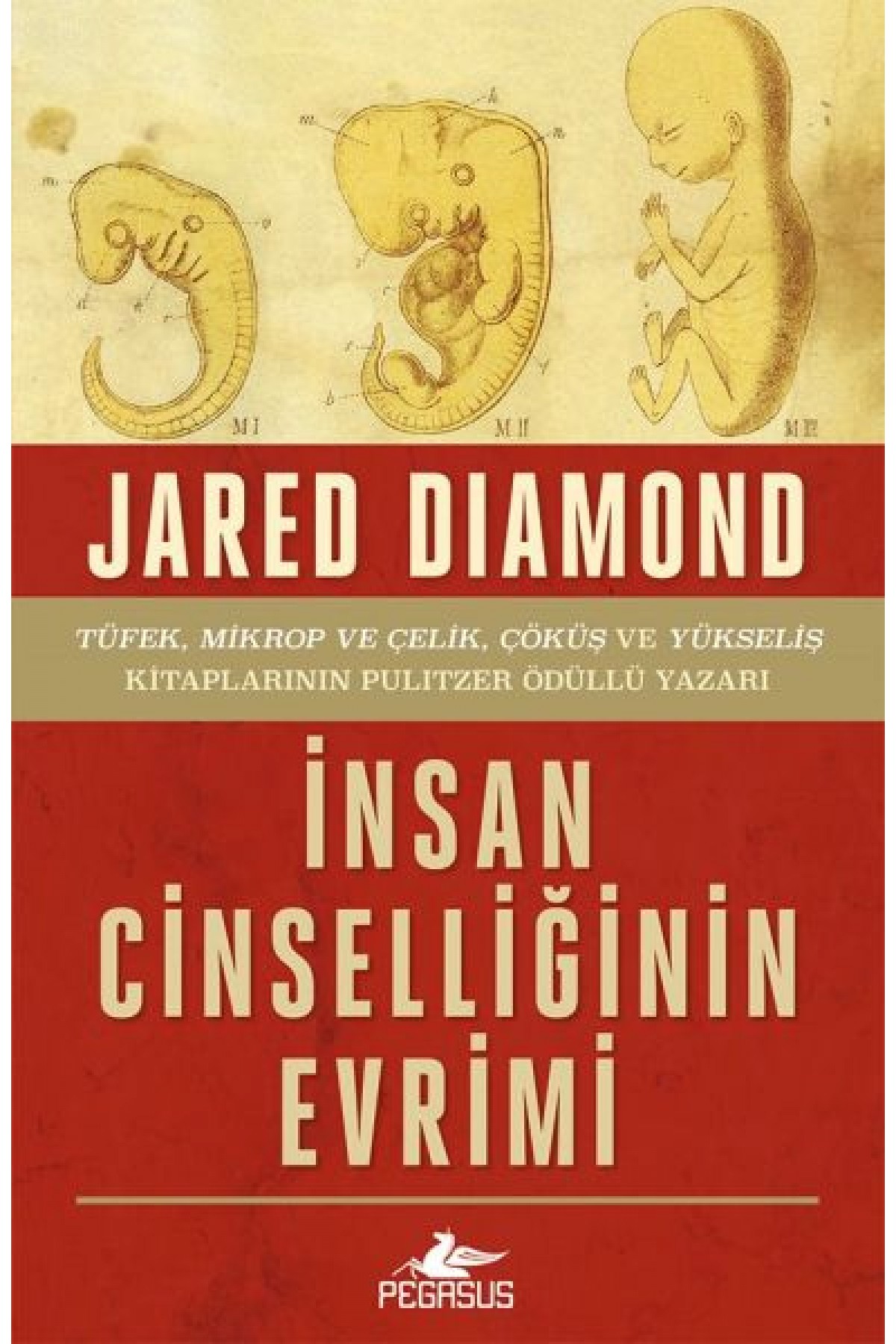 İnsan Cinselliğinin Evrimi - Ciltsiz İnsan Cinselliğinin Evrimi - Ciltsiz