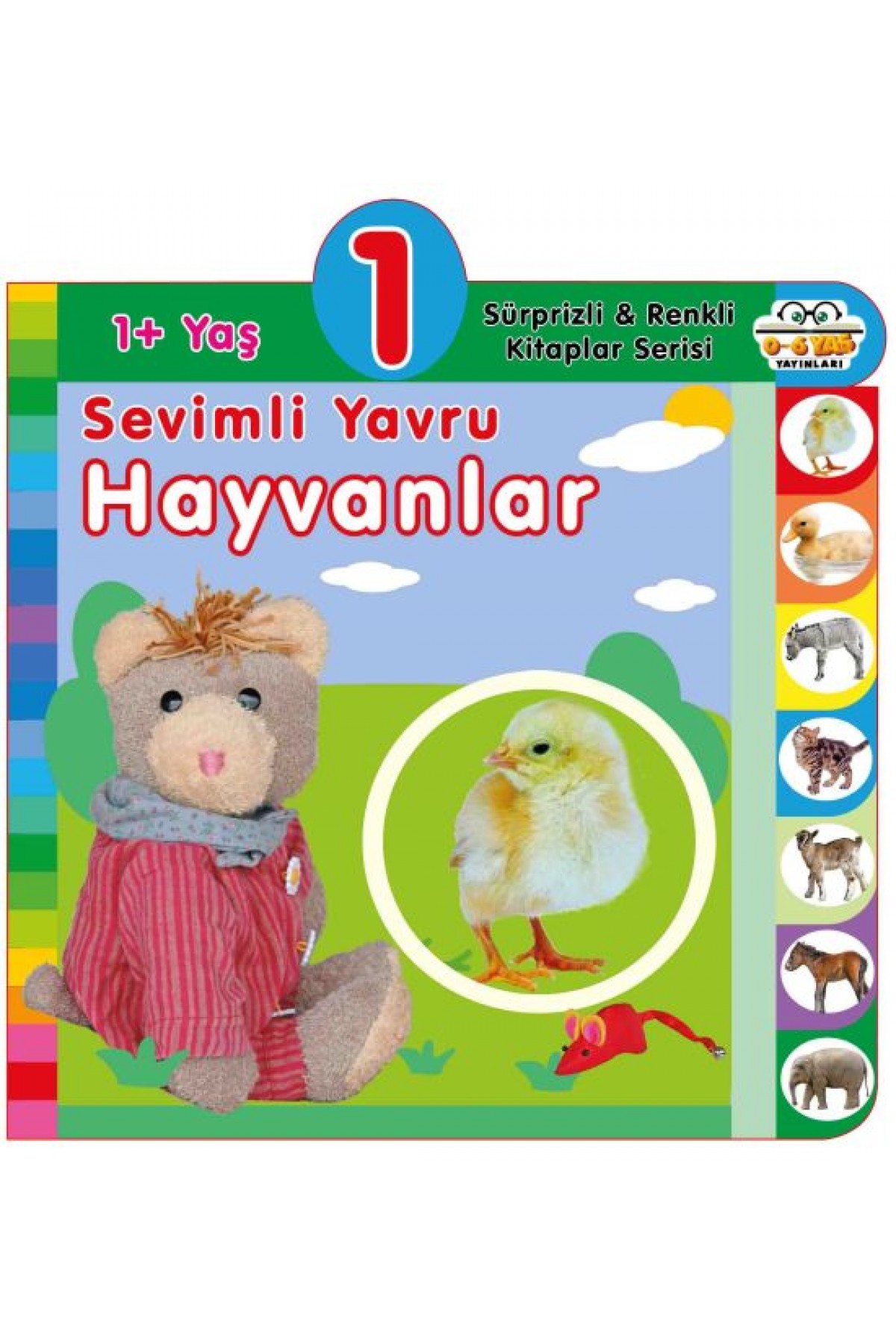 Yaş Sevimli Yavru Hayvanlar (1+Yaş) Yaş Sevimli Yavru Hayvanlar (1+Yaş)