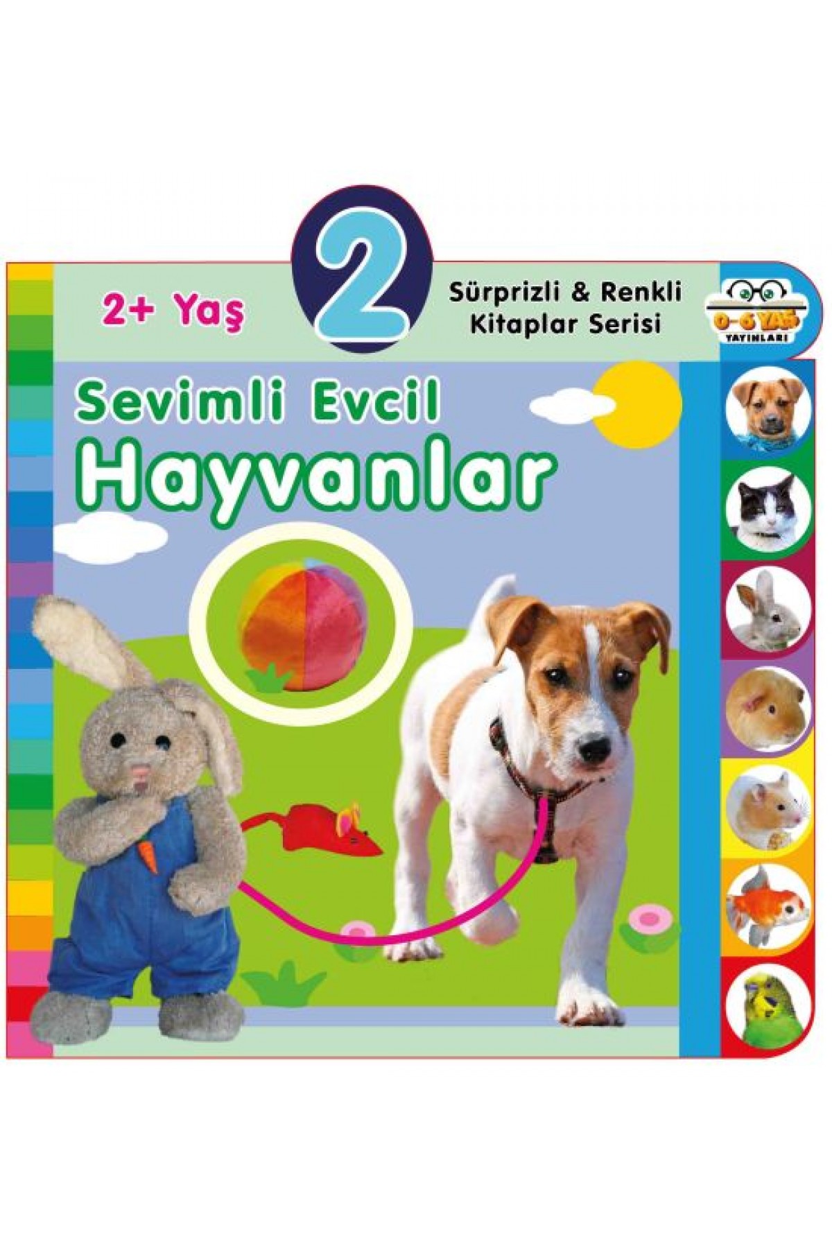 Yaş Sevimli Evcil Hayvanlar (2+Yaş)