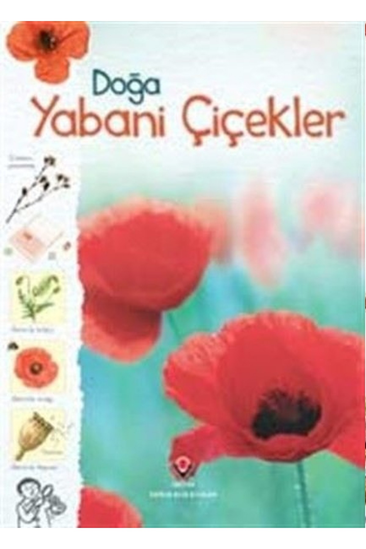 Doğa-Yabani Çiçekler