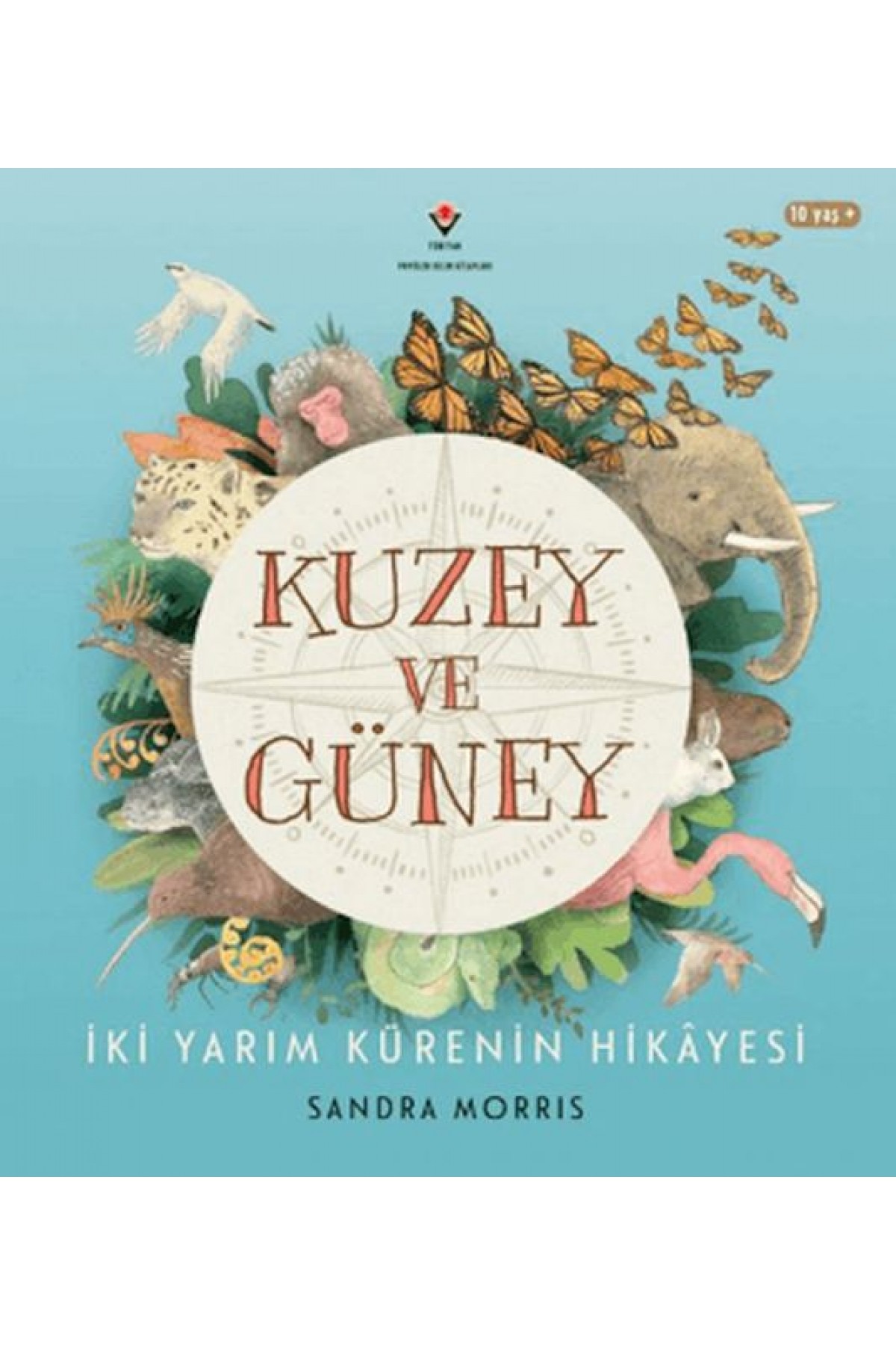 Kuzey ve Güney - İki Yarım Kürenin Hikâyesi
