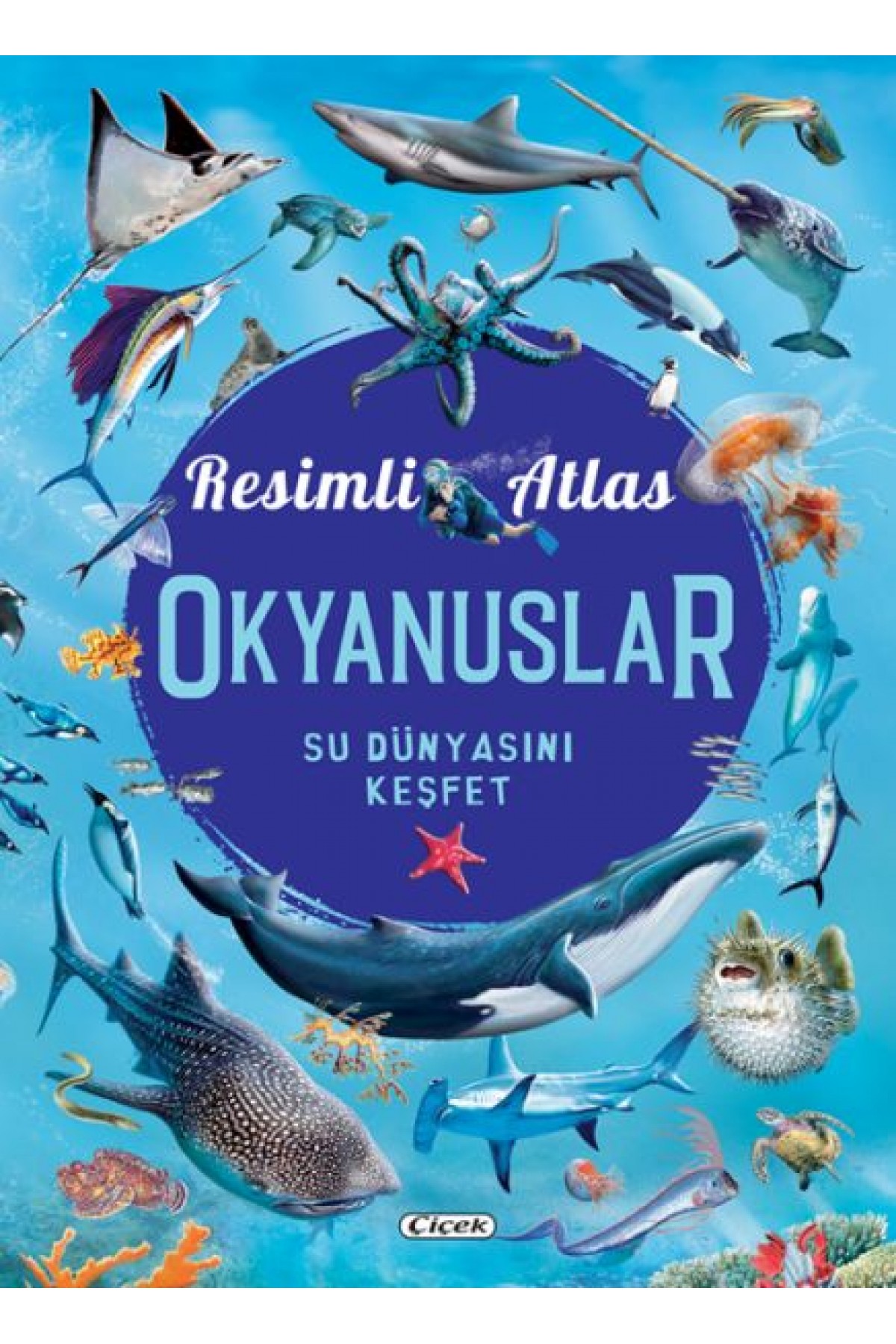 li Atlas Okyanuslar li Atlas Okyanuslar