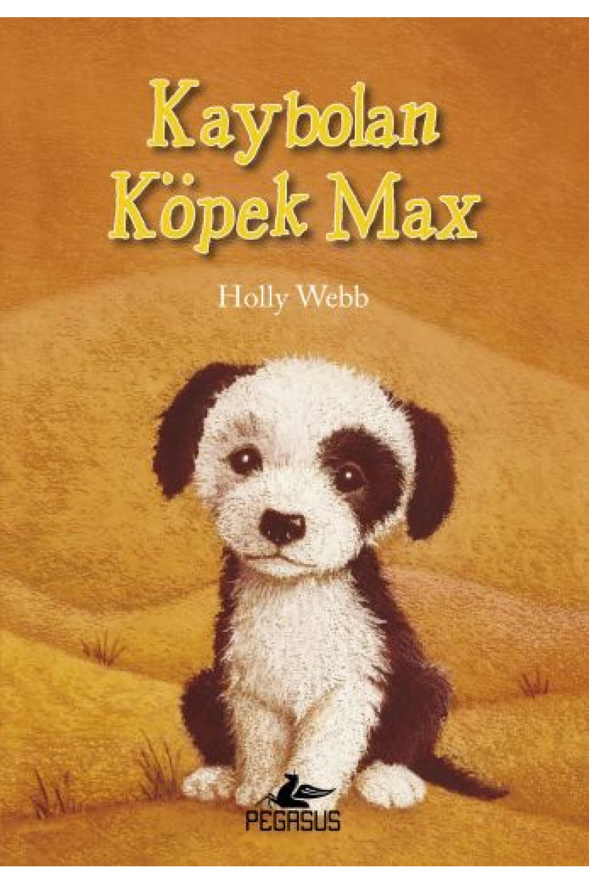 Kaybolan Köpek Max