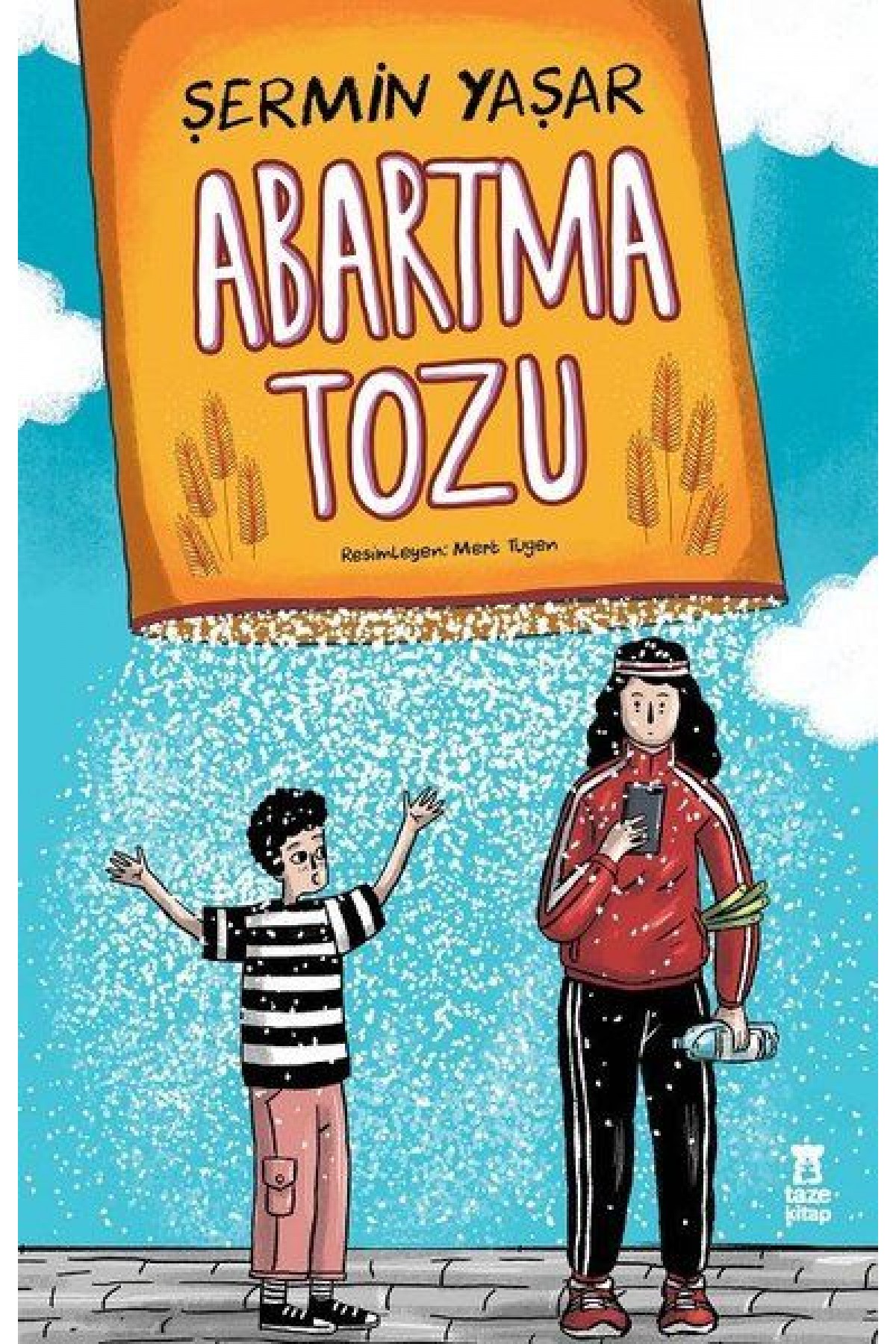Abartma Tozu Abartma Tozu