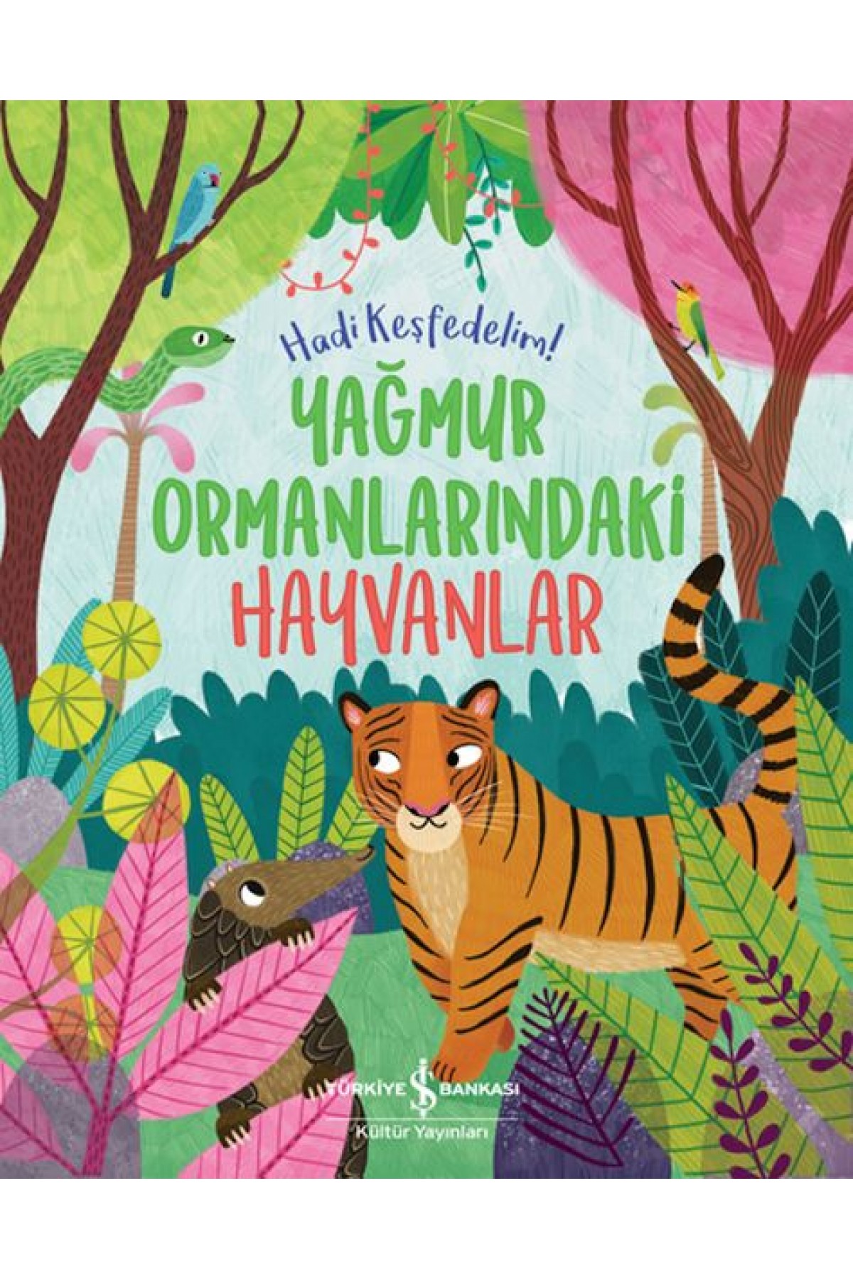 Yağmur Ormanlarındaki Hayvanlar – Hadi Keşfedelim!