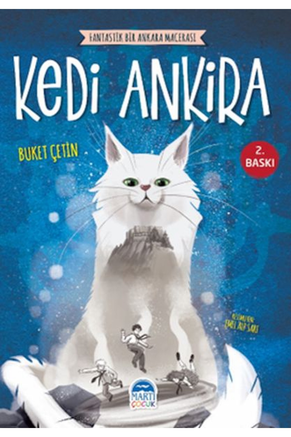 Kedi Ankira Kedi Ankira