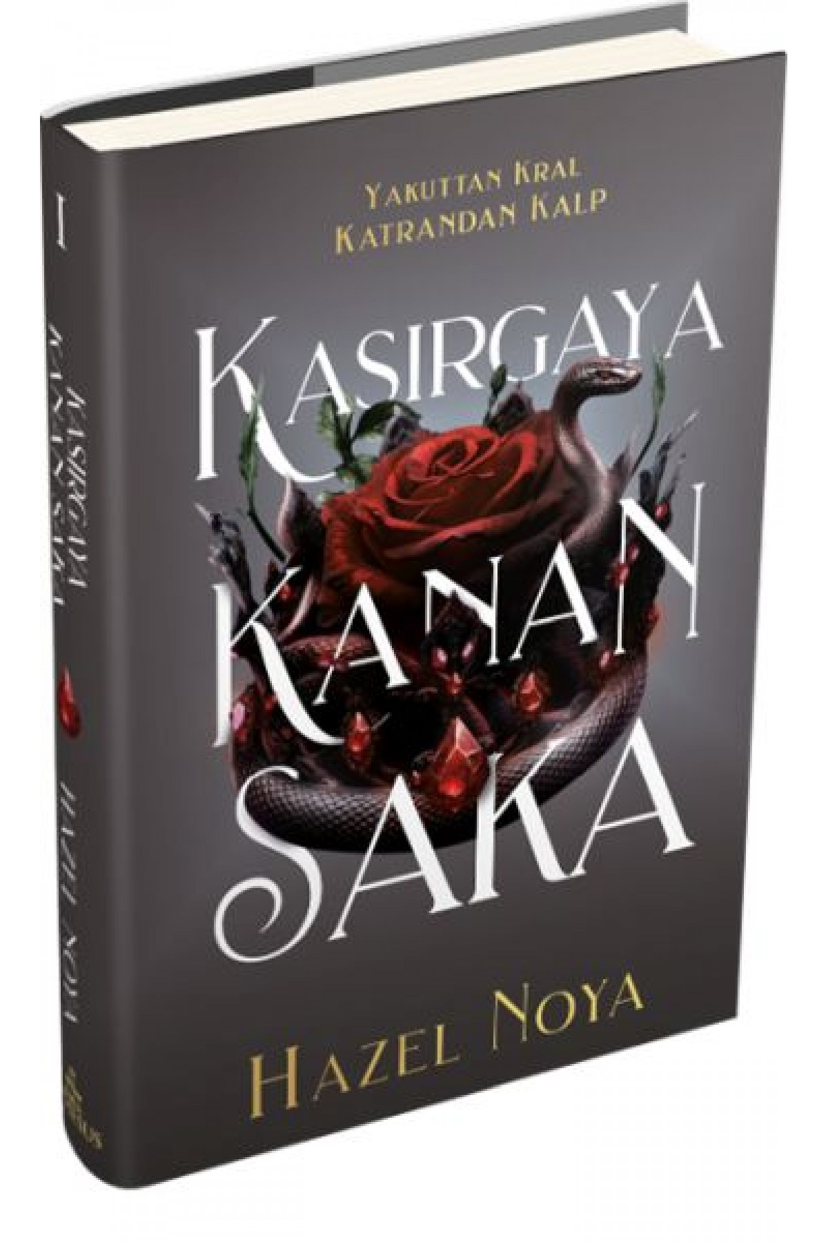 Kasırgaya Kanan Saka 1 (Ciltli) Kasırgaya Kanan Saka 1 (Ciltli)
