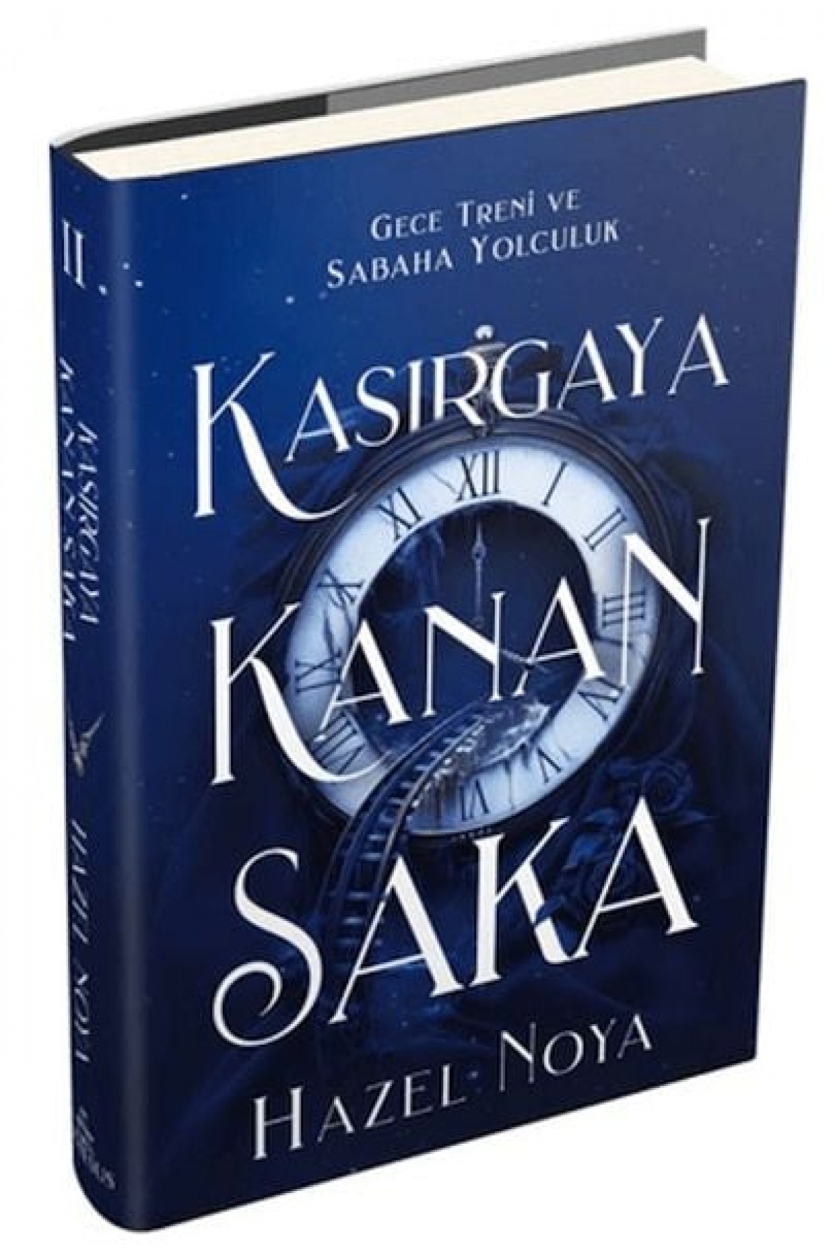 Kasırgaya Kanan Saka 2 Kasırgaya Kanan Saka 2