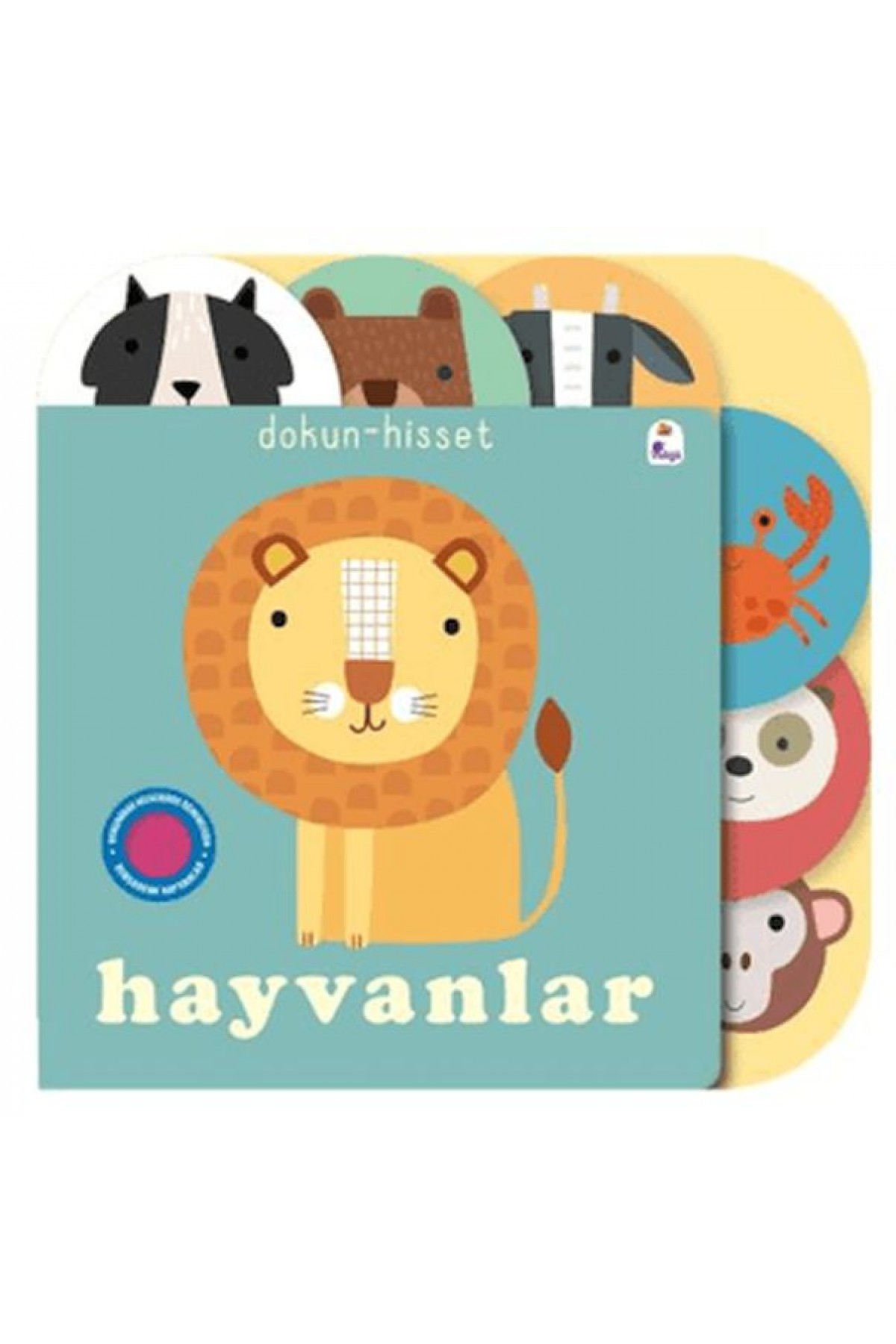 Dokun- Hisset / Hayvanlar Dokun- Hisset / Hayvanlar