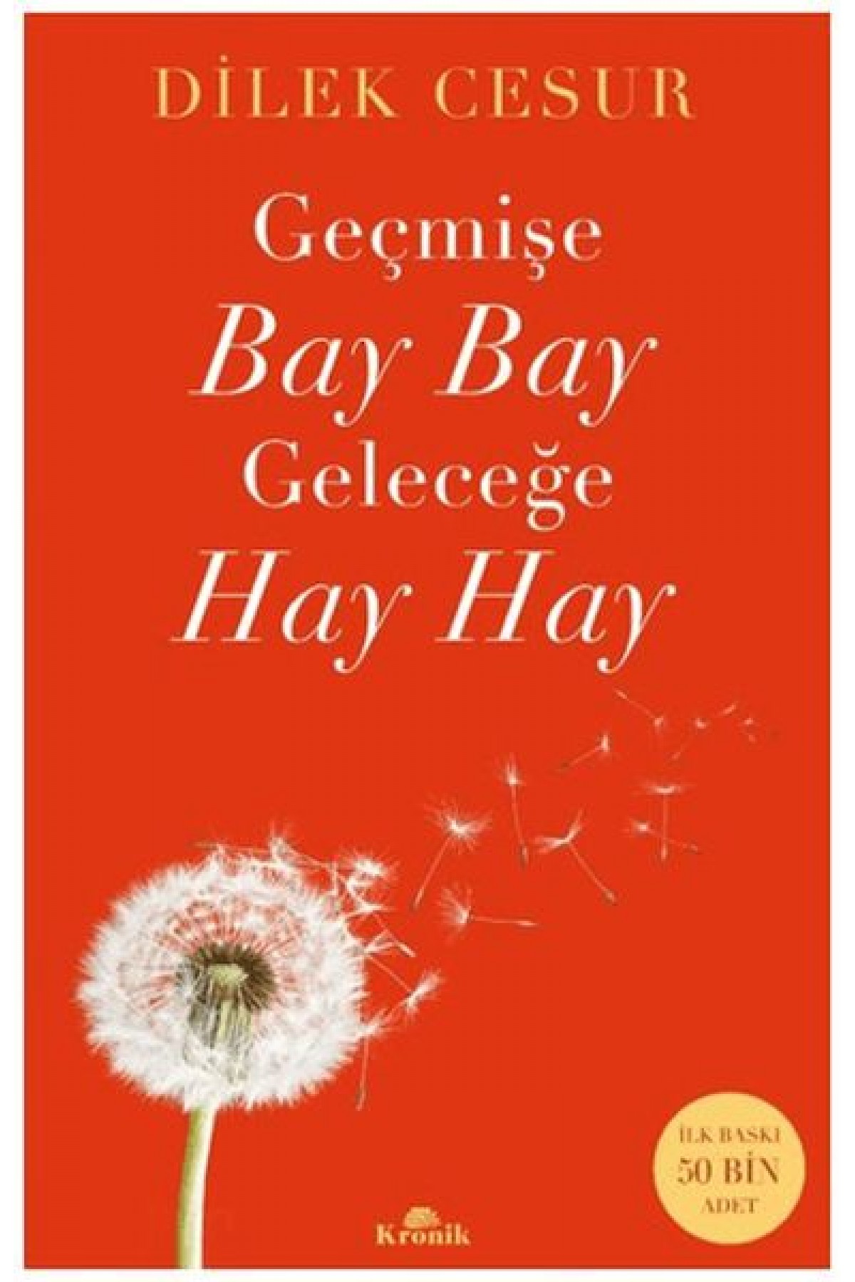 Geçmişe Bay Bay, Geleceğe Hay Hay