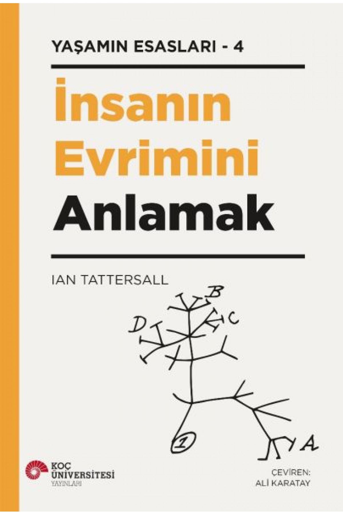 İnsanın Evrimini Anlamak - Yaşamın Esasları 4 İnsanın Evrimini Anlamak - Yaşamın Esasları 4