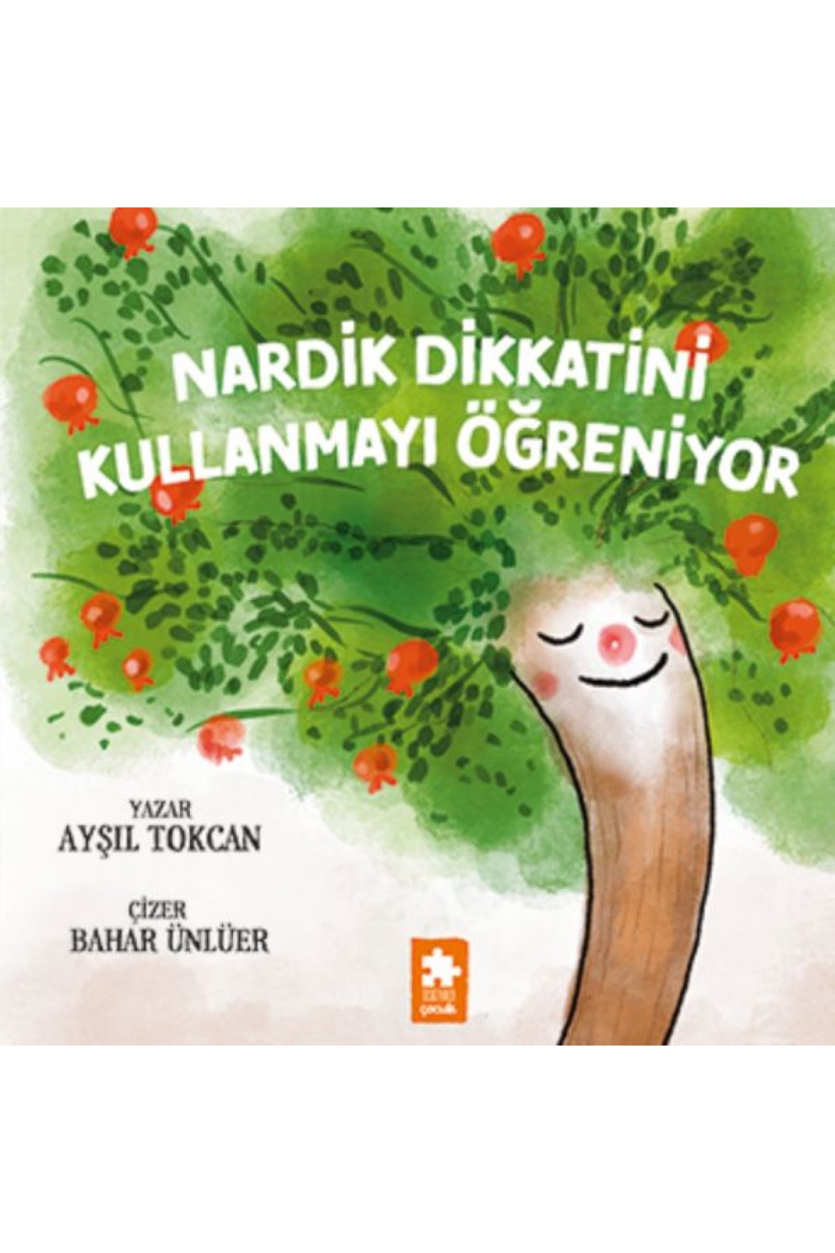 Nardik Dikkatini Kullanmayı Öğreniyor