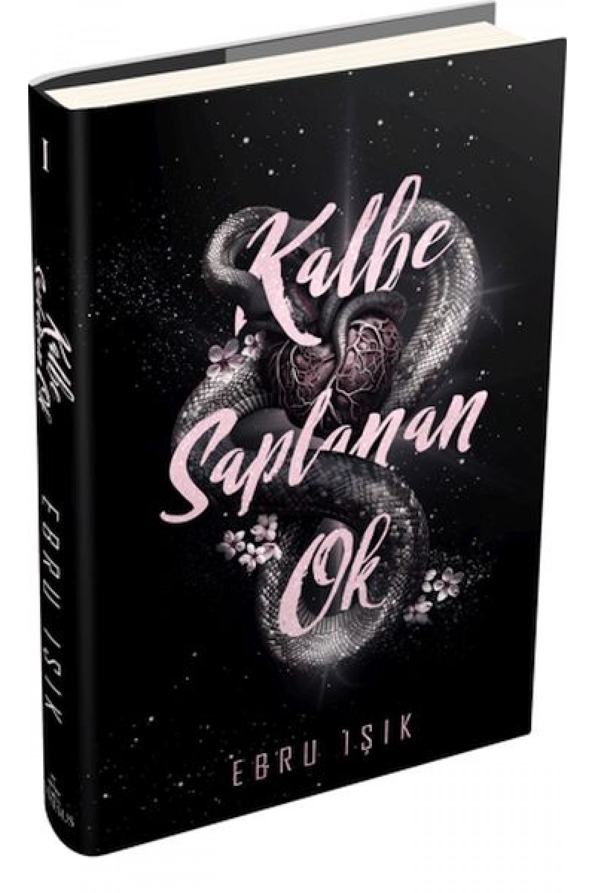 Kalbe Saplanan Ok 1 Kalbe Saplanan Ok 1