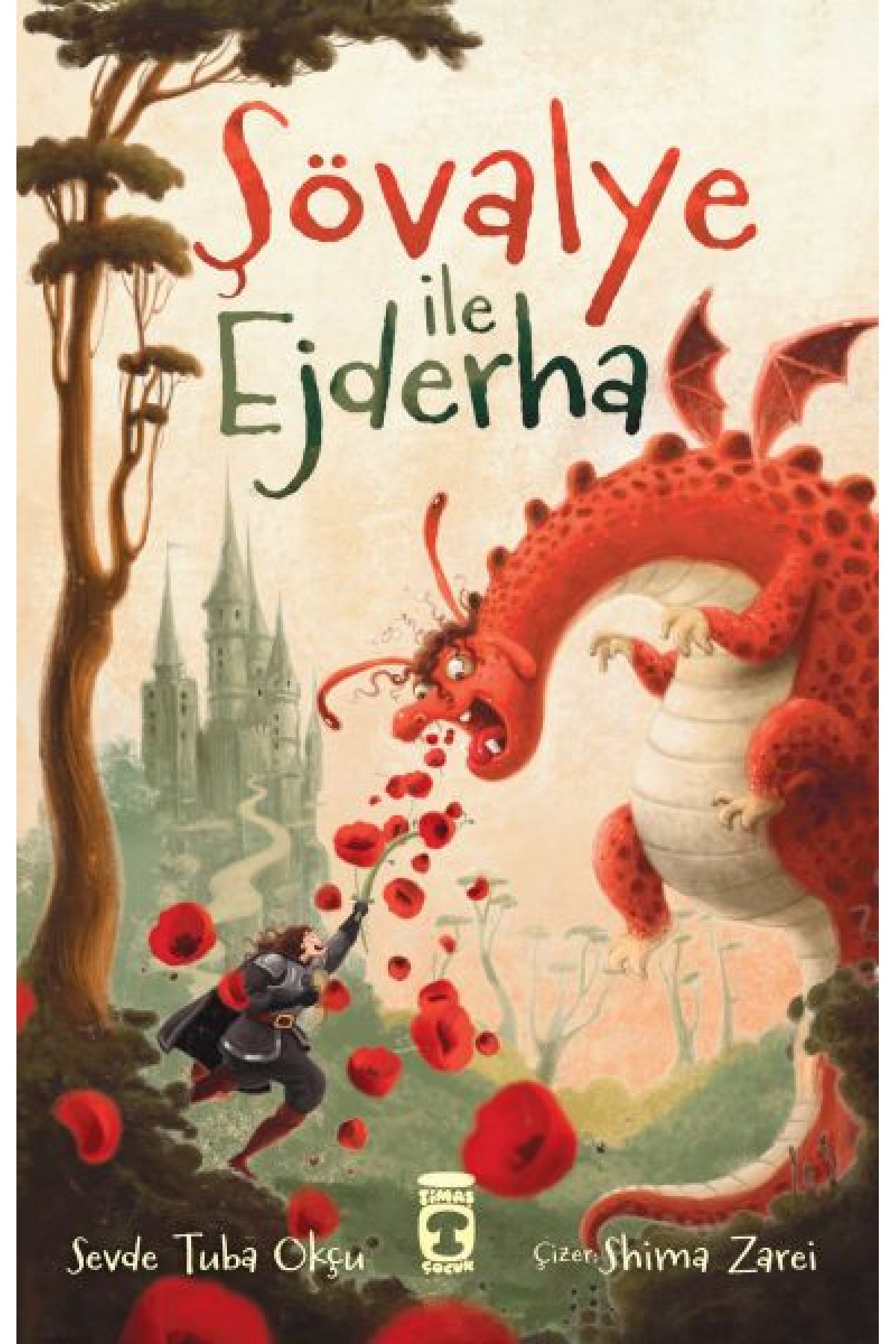 Şövalye ile Ejderha Şövalye ile Ejderha
