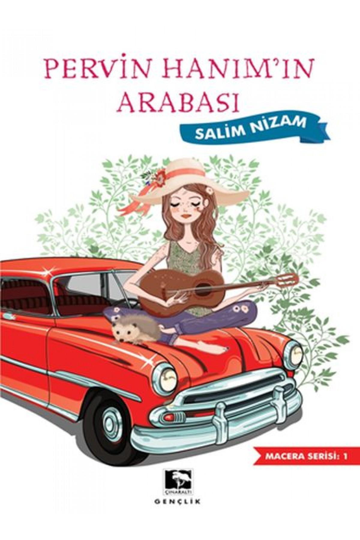 Pervin Hanımın Arabası Pervin Hanımın Arabası