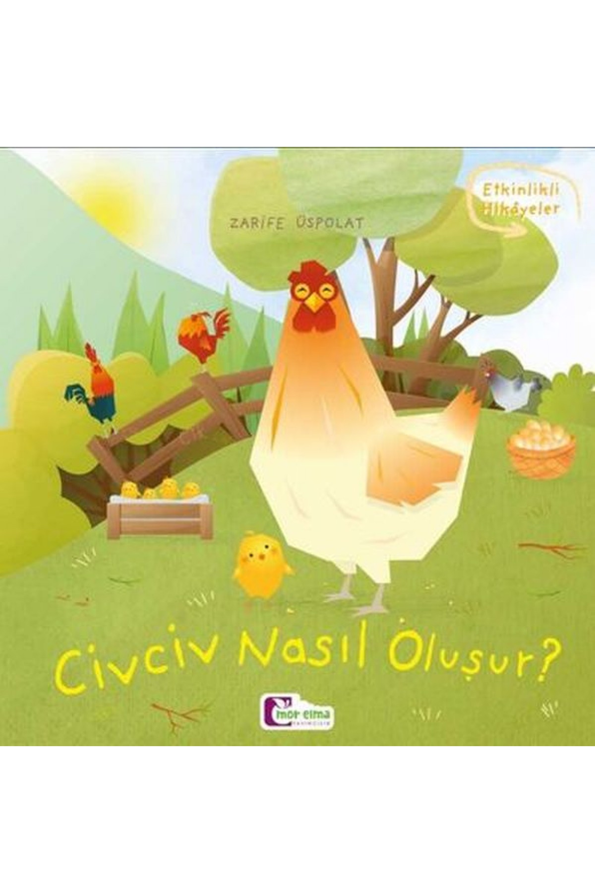 Oluşum Hikayeleri - Civciv nasıl oluşur? Oluşum Hikayeleri - Civciv nasıl oluşur?