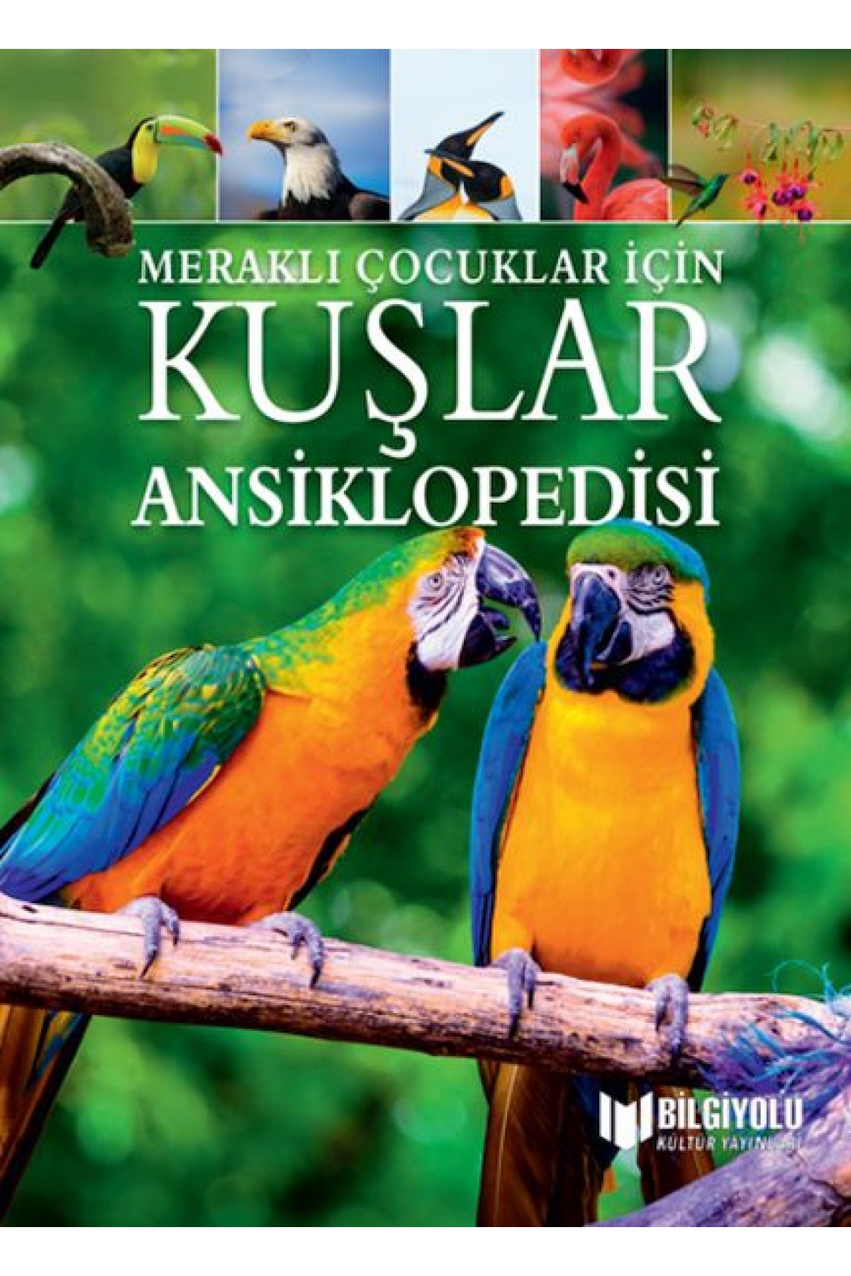 Meraklı Çocuklar İçin Kuşlar Ansiklopedisi Meraklı Çocuklar İçin Kuşlar Ansiklopedisi