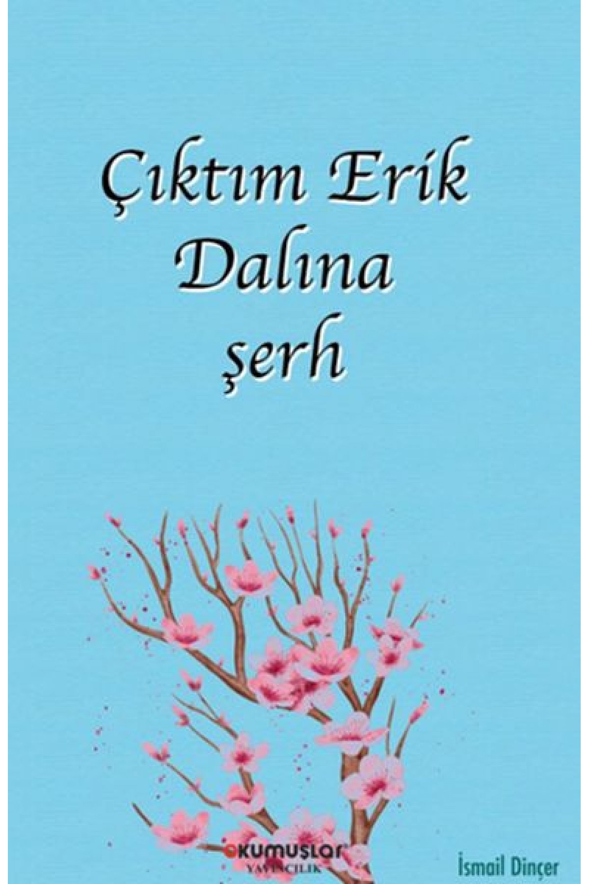 Çıktım Erik Dalına şerh Çıktım Erik Dalına şerh