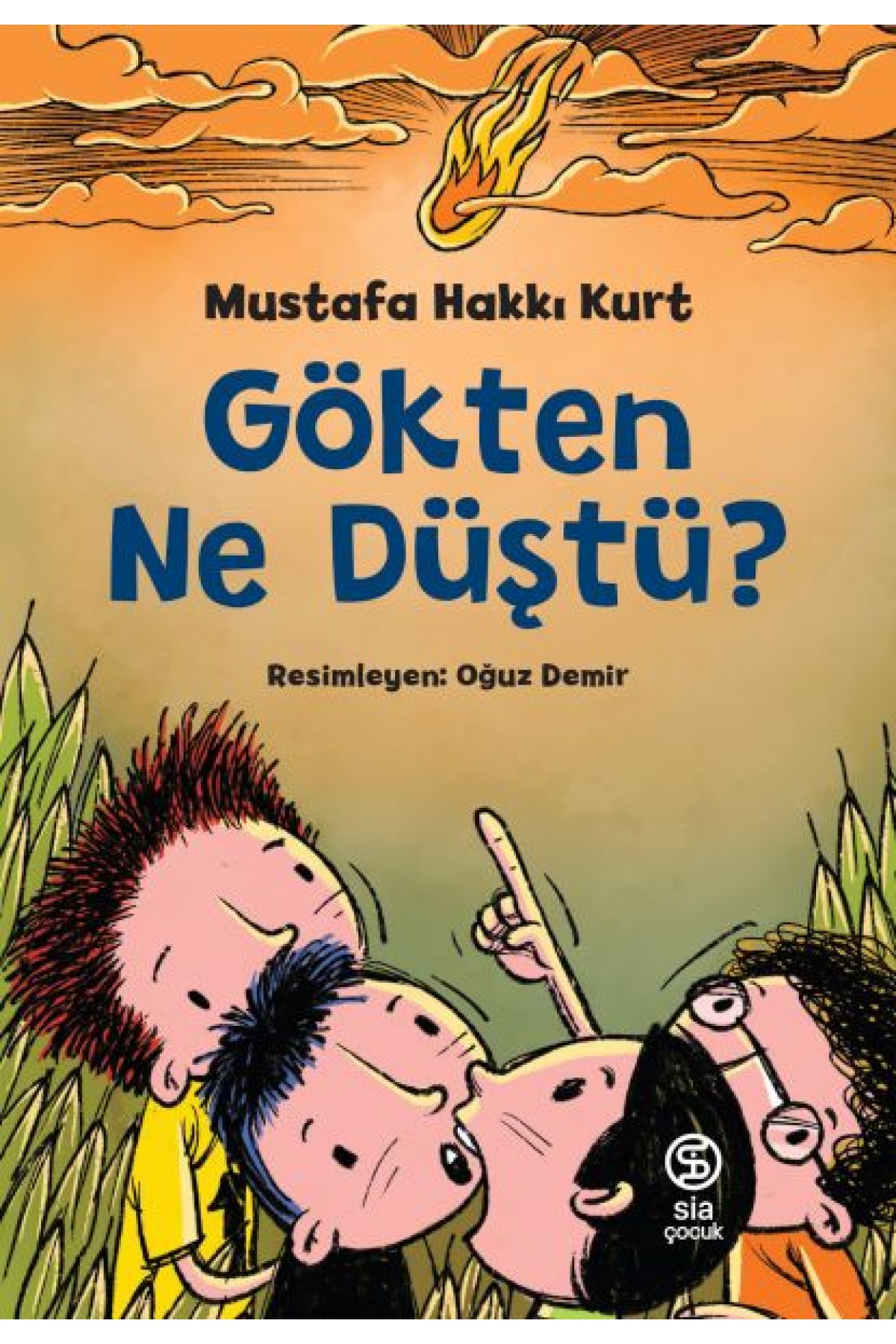 Gökten Ne Düştü?