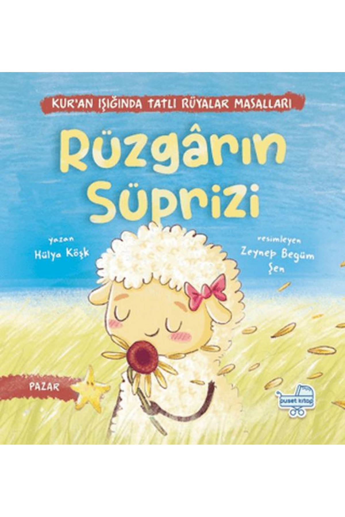 Rüzgarın Sürprizi