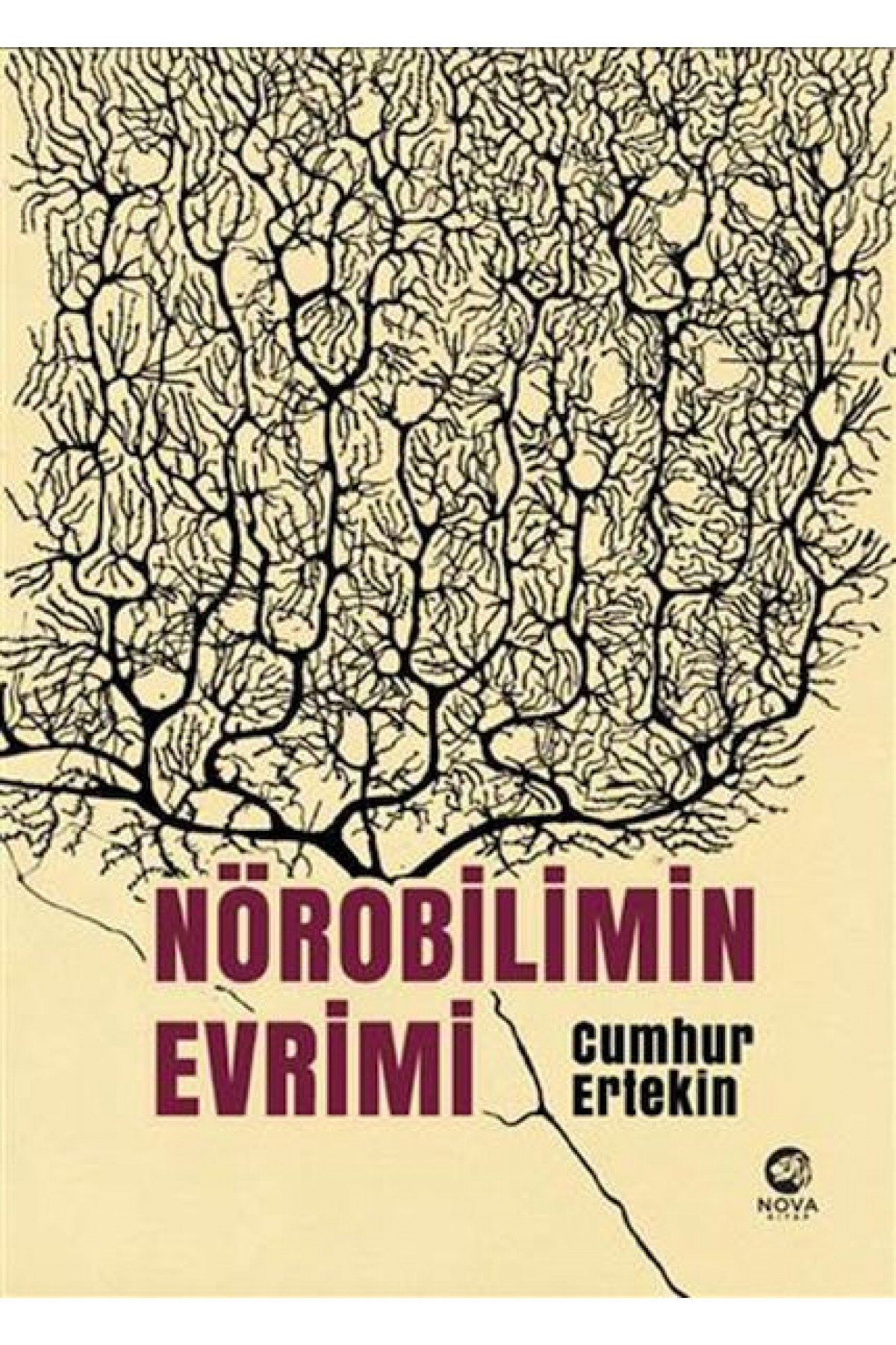 Nörobilimin Evrimi 