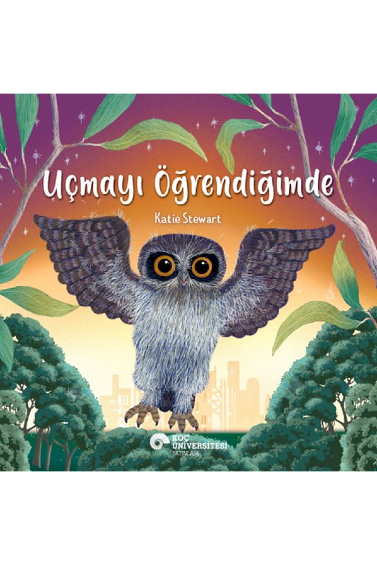Uçmayı Öğrendiğimde Uçmayı Öğrendiğimde