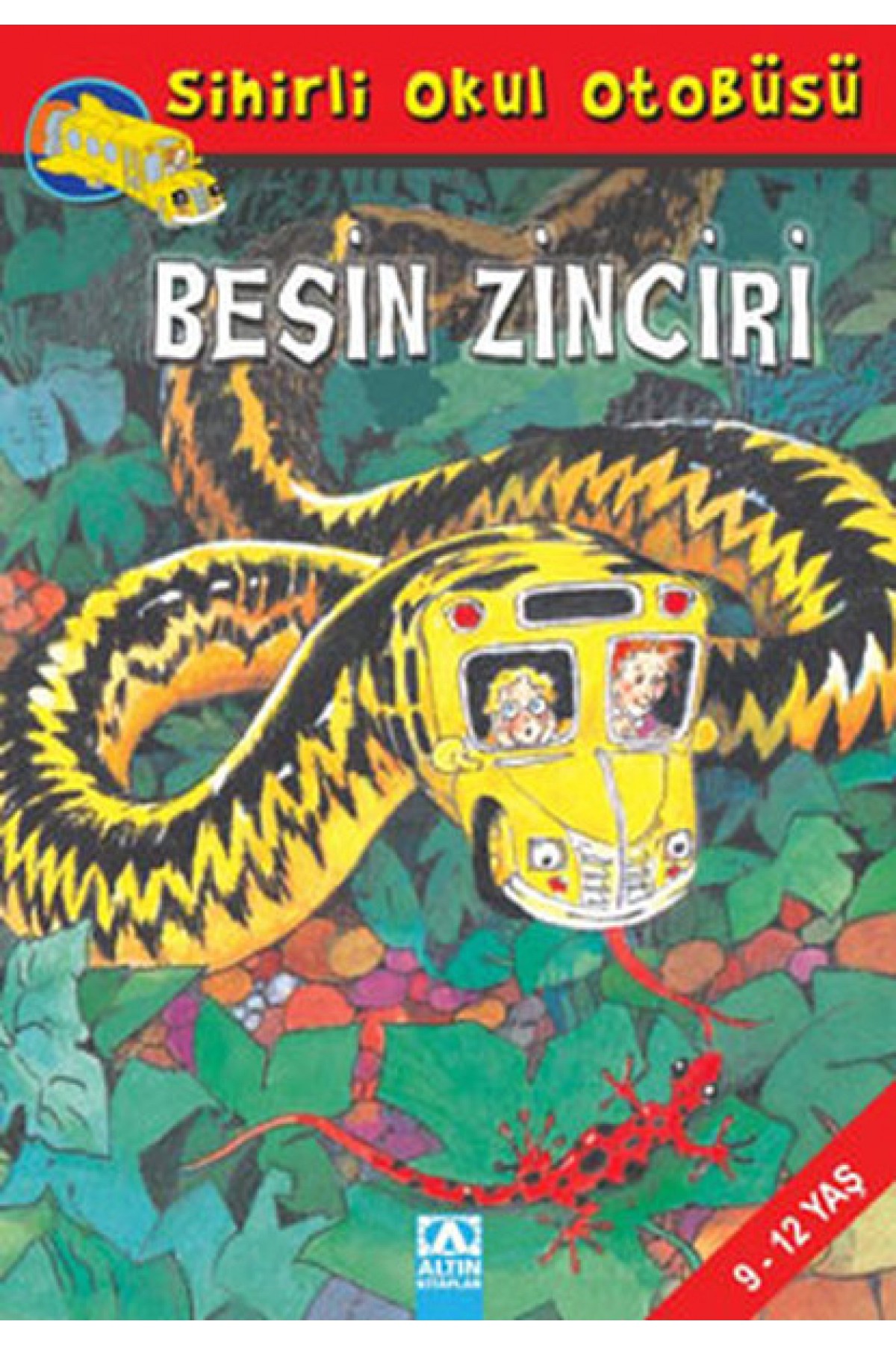 Besin Zinciri - Sihirli Okul Otobüsü Besin Zinciri - Sihirli Okul Otobüsü