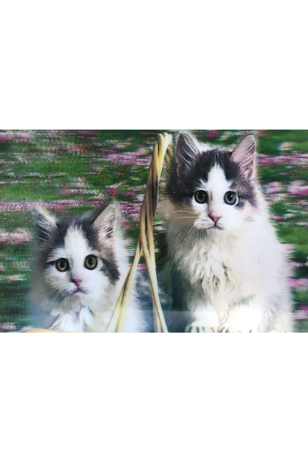 5D Elmas Boyama Sevimli Kediler İkili Kedi Resmi Tablosu 40x60 cm (Lisinya)
