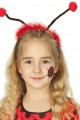 Gösteriler İçin Uğur Böceği Tacı Gösteriler İçin Uğur Böceği Tacı